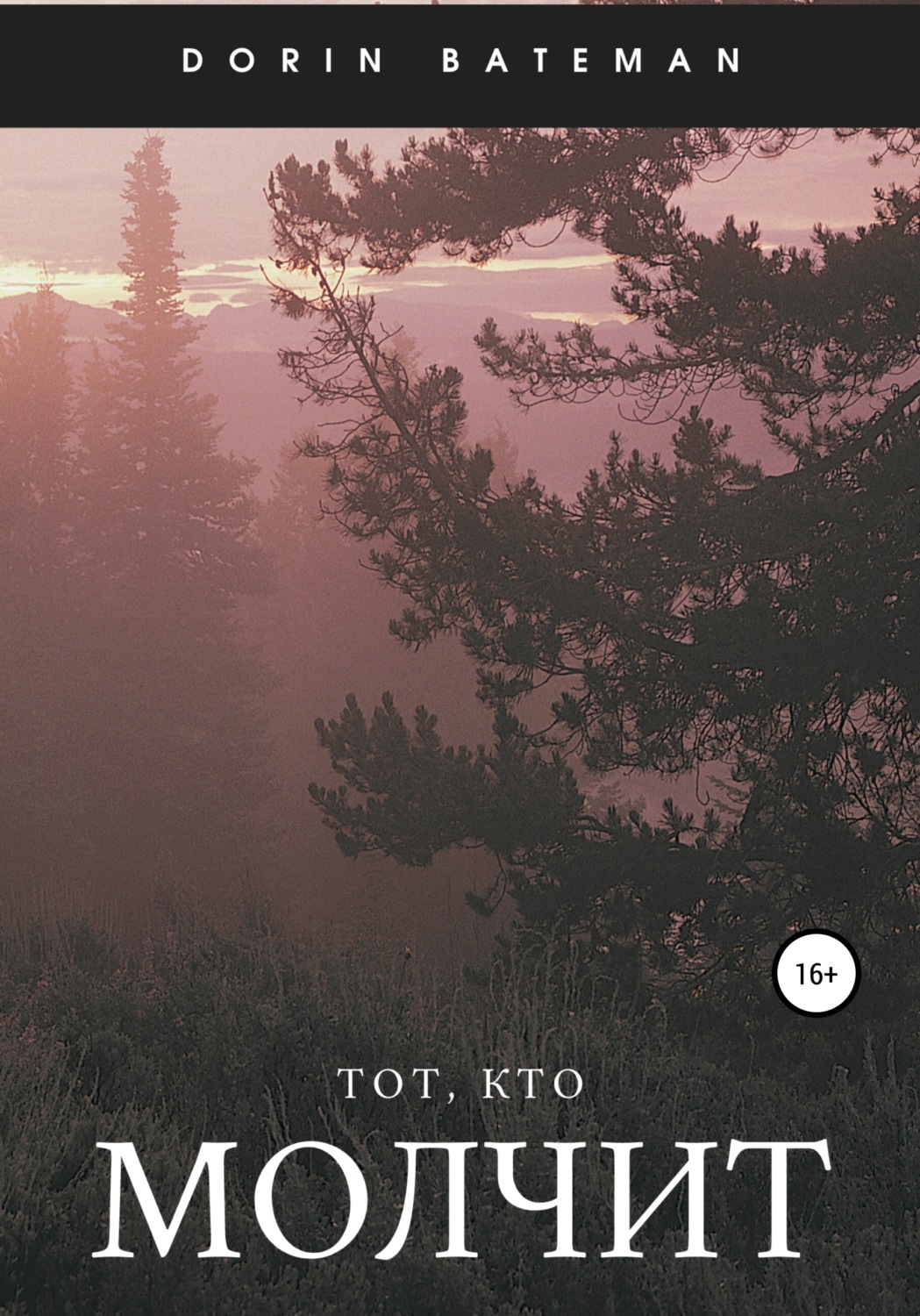 Обложка книги «Тот, кто молчит»