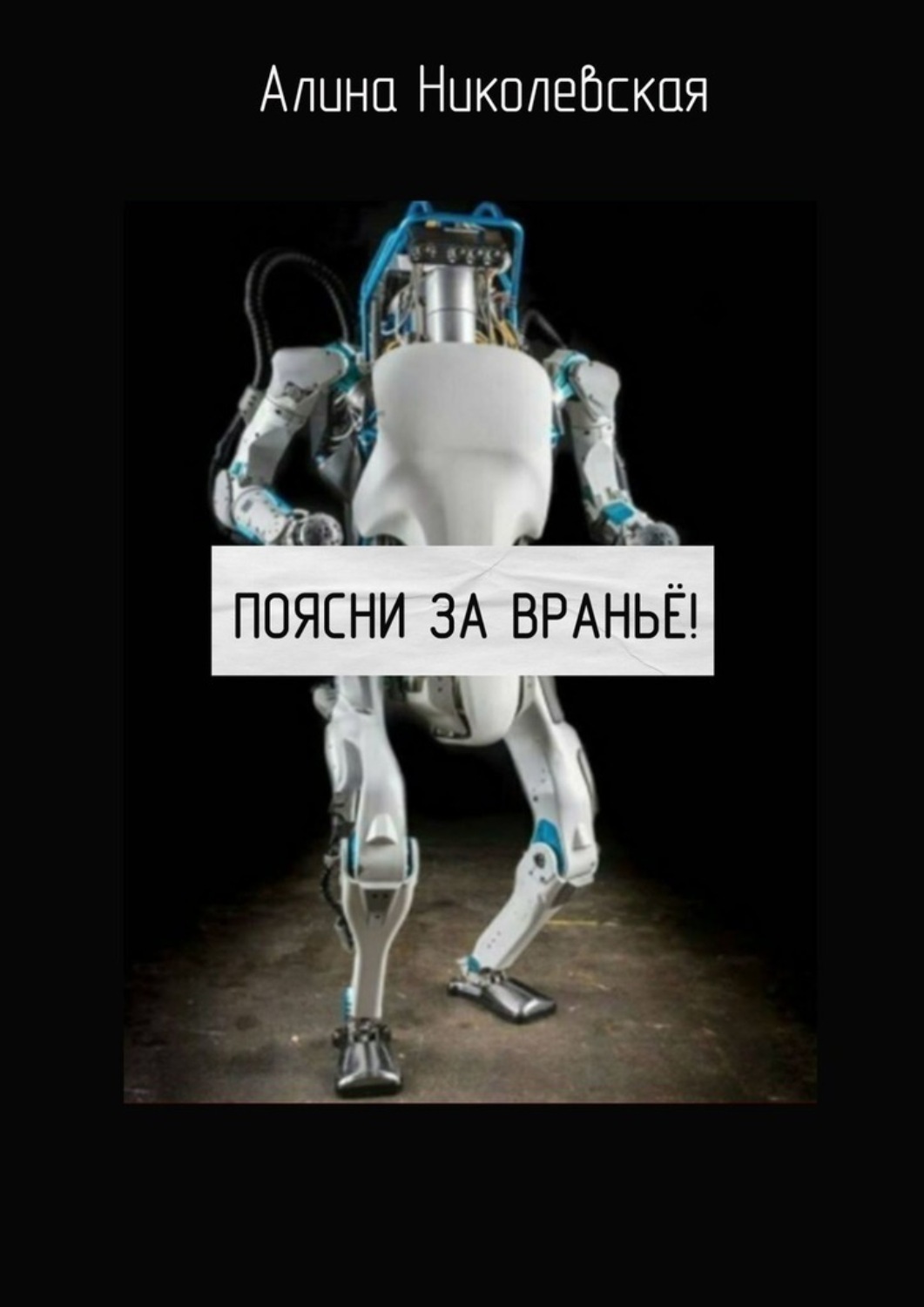 Обложка книги «Поясни за враньё!»