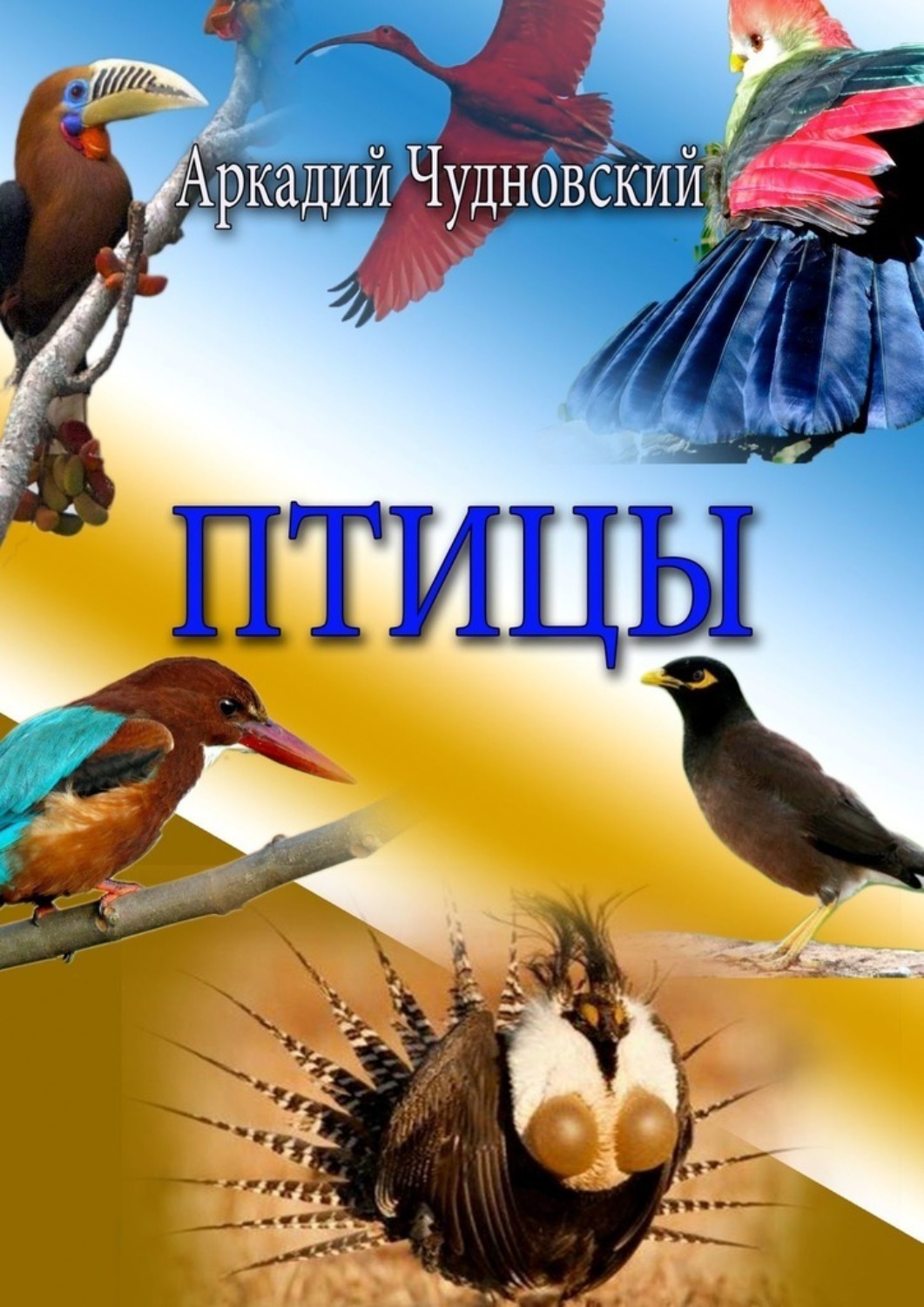 Обложка книги «Птицы»