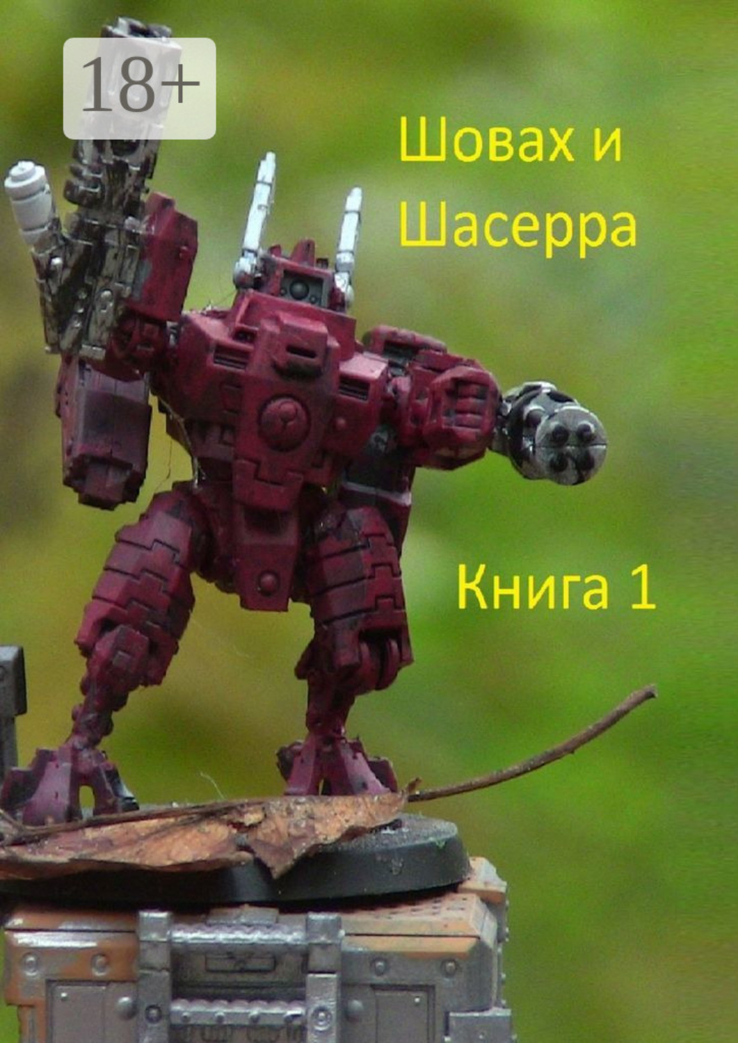 Обложка книги «Шовах и Шасерра. Книга 1»