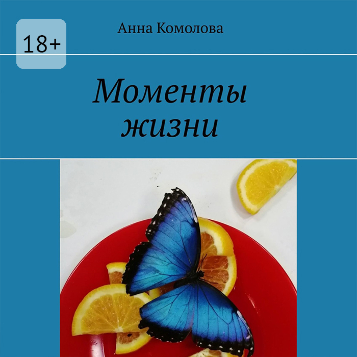 Обложка книги «Моменты жизни»