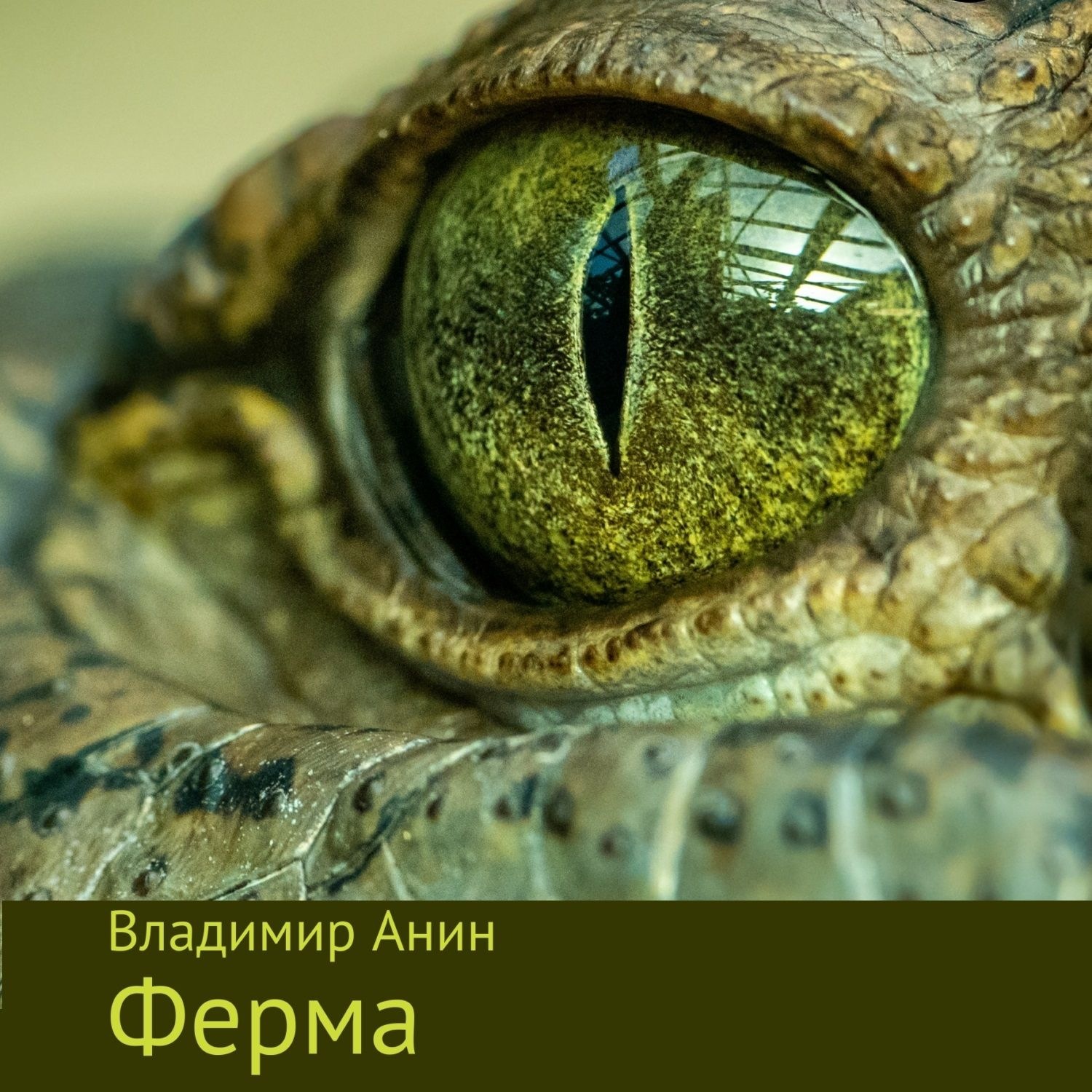 Обложка книги «Ферма»