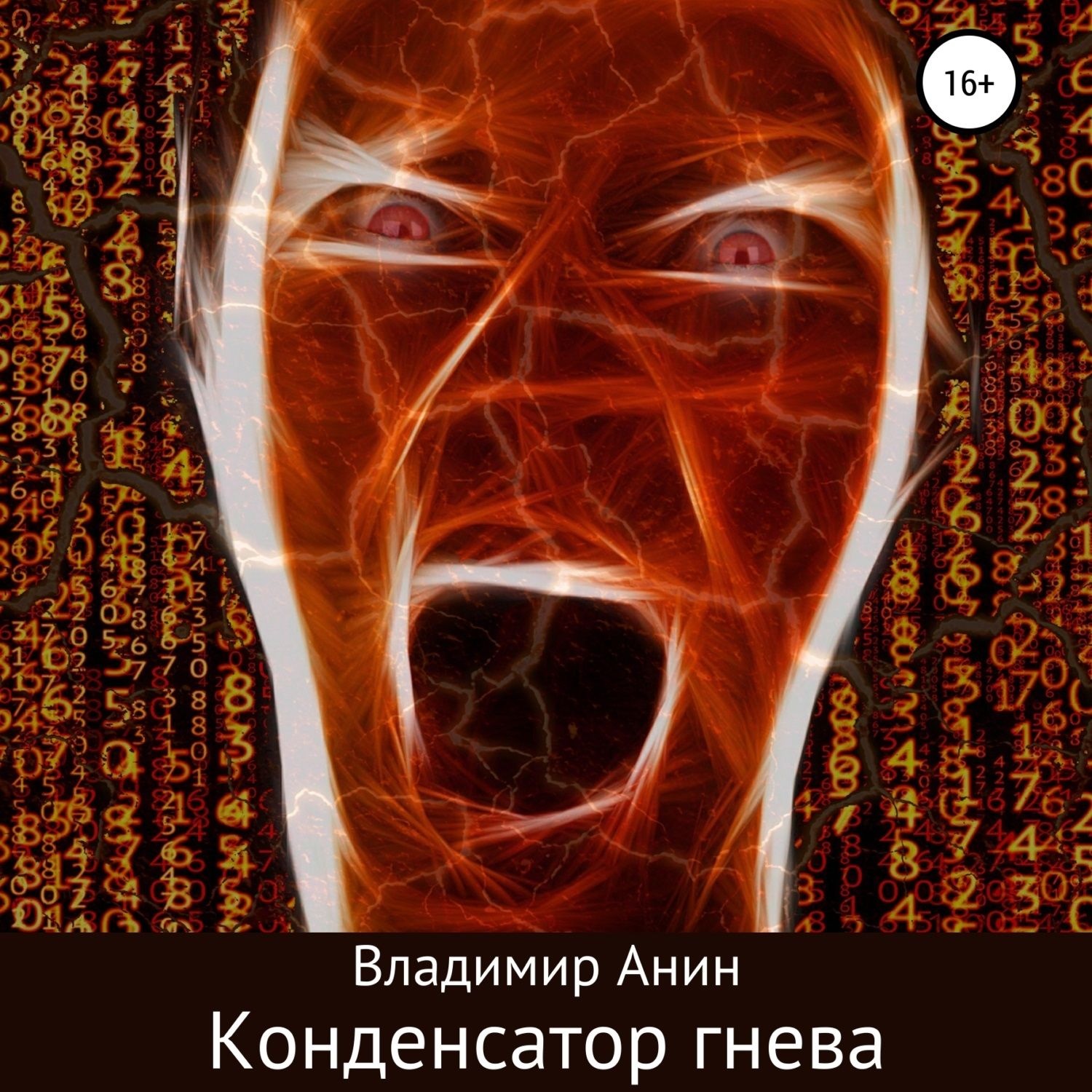 Обложка книги «Конденсатор гнева»