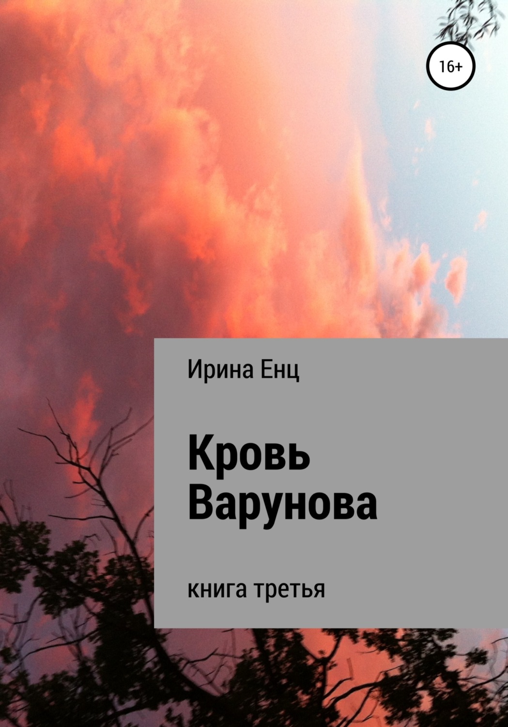 Обложка книги «Кровь Варунова»