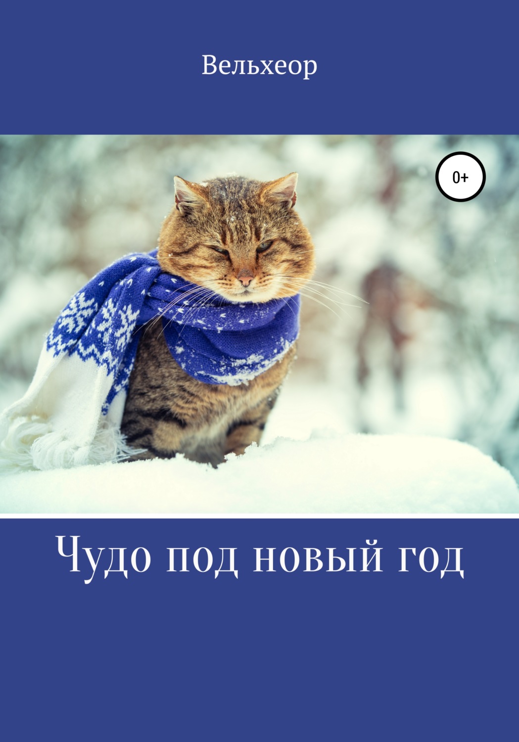Обложка книги «Чудо под новый год»