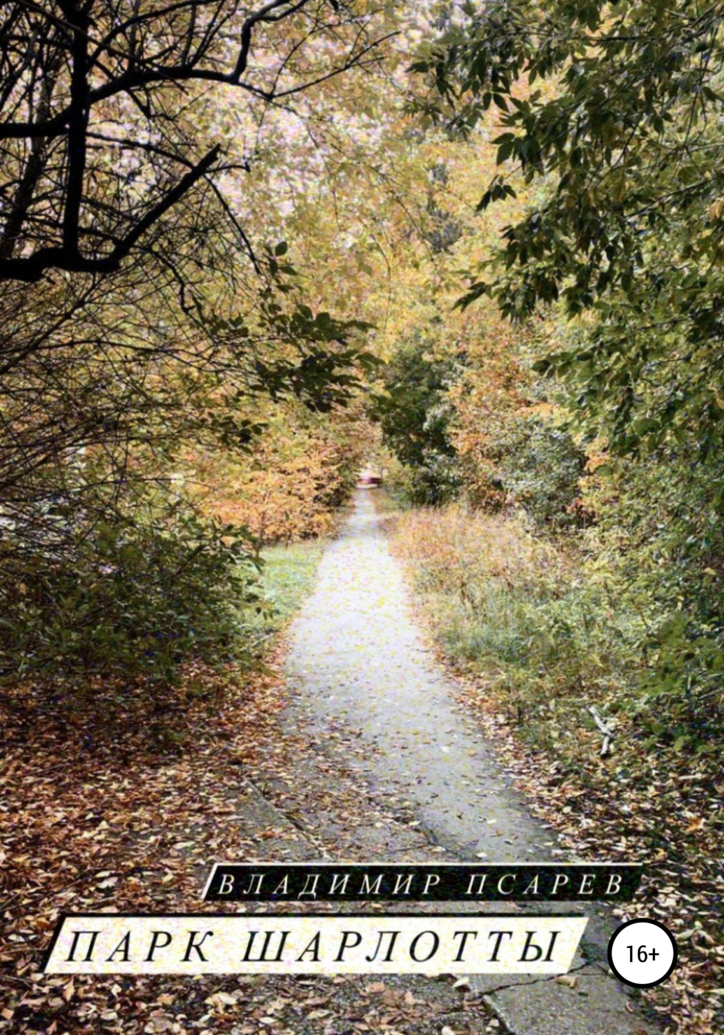 Обложка книги «Парк Шарлотты»