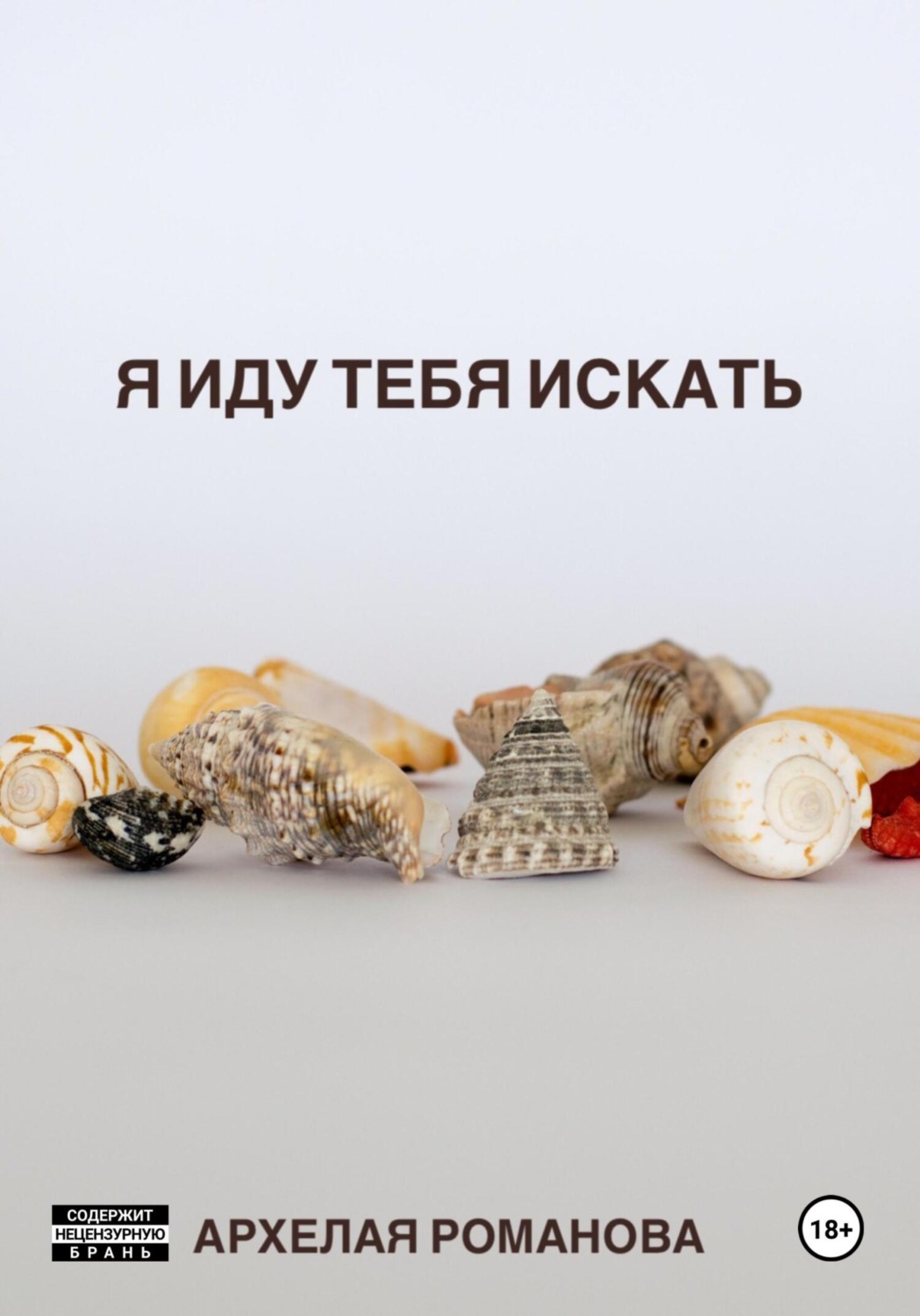 Обложка книги «Я иду тебя искать»