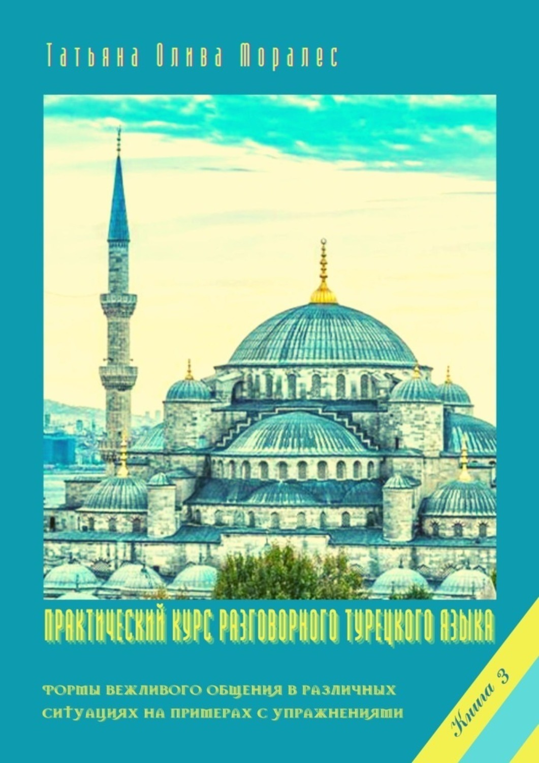 Обложка книги «Практический курс разговорного турецкого языка. Книга 3. Формы вежливого общения в различных ситуациях на примерах с упражнениями»