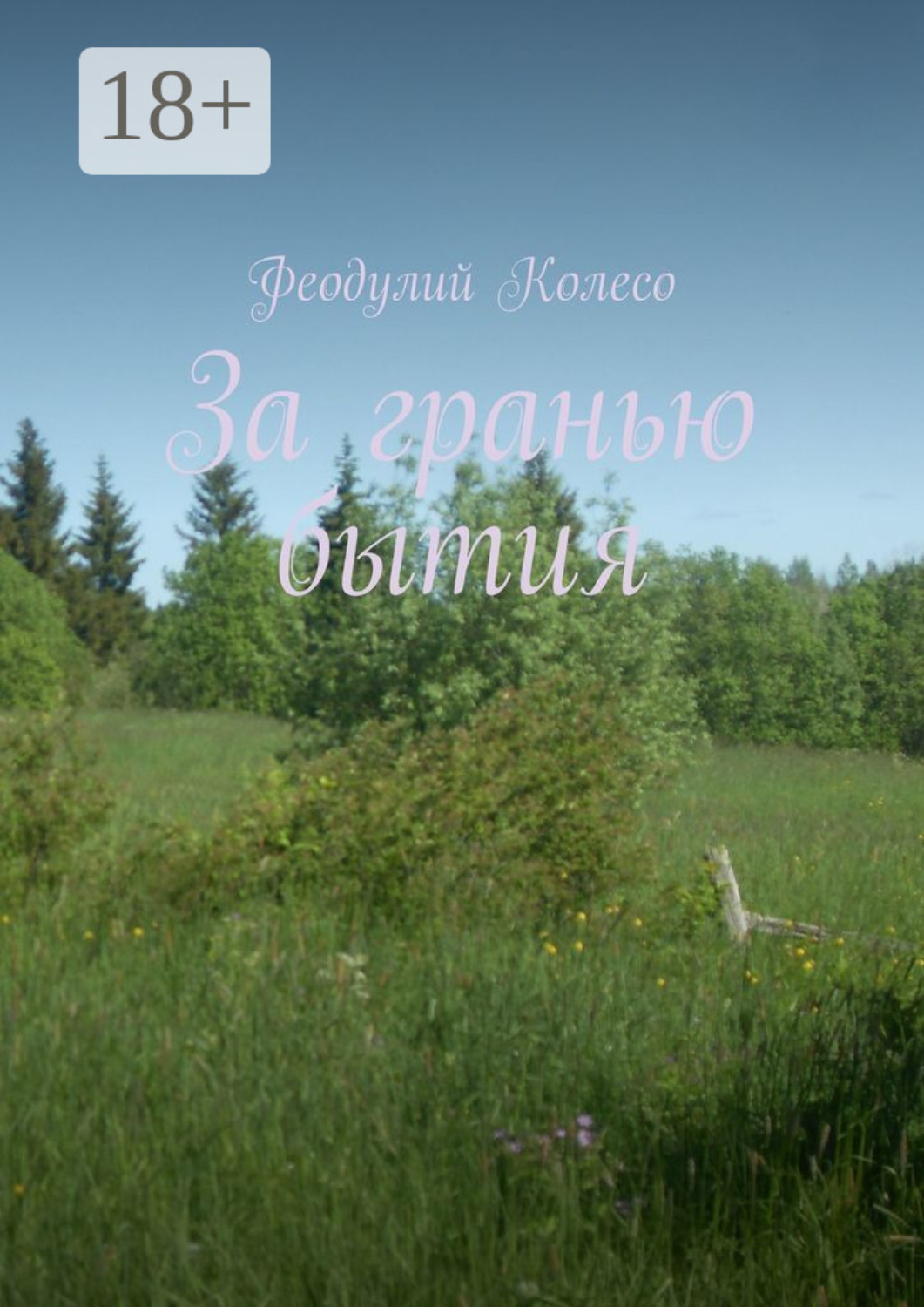 Обложка книги «За гранью бытия»