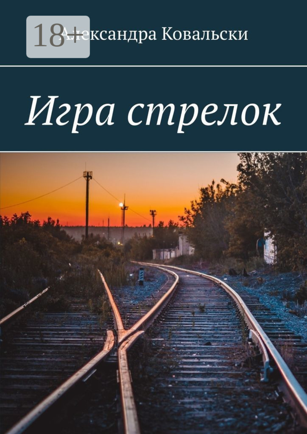 Обложка книги «Игра стрелок»