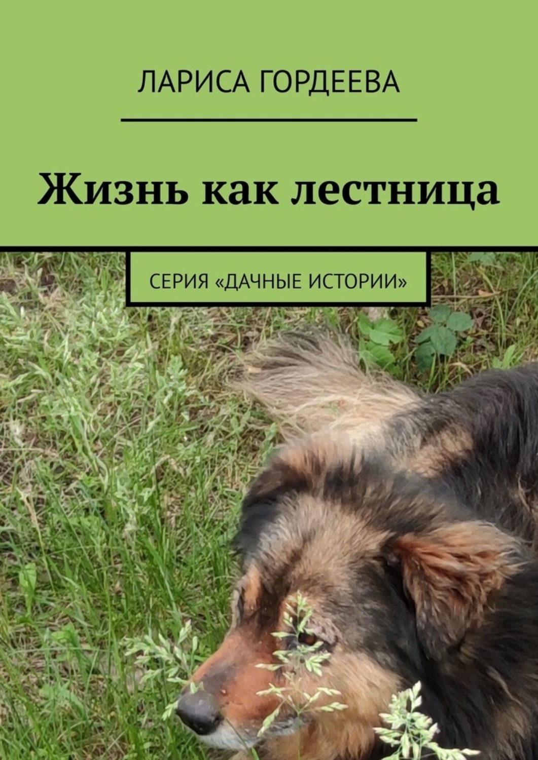 Обложка книги «Жизнь как лестница. Серия «Дачные истории»»
