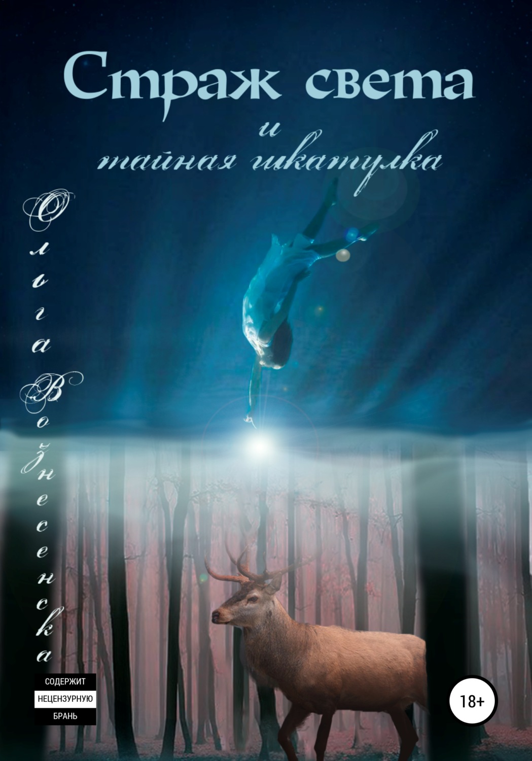 Обложка книги «Страж света и тайная шкатулка»