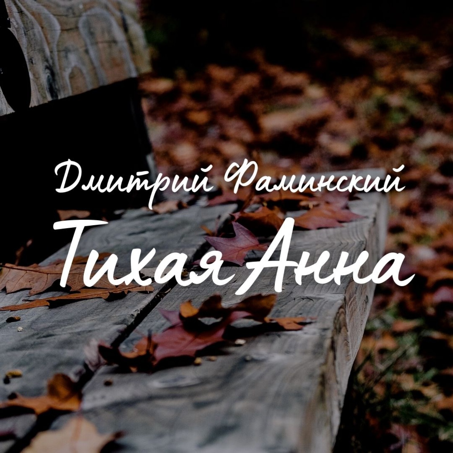 Обложка книги «Тихая Анна»