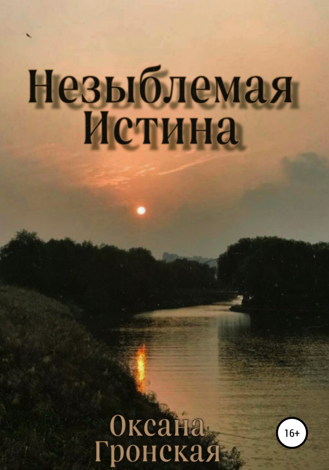 Обложка книги «Незыблемая истина»