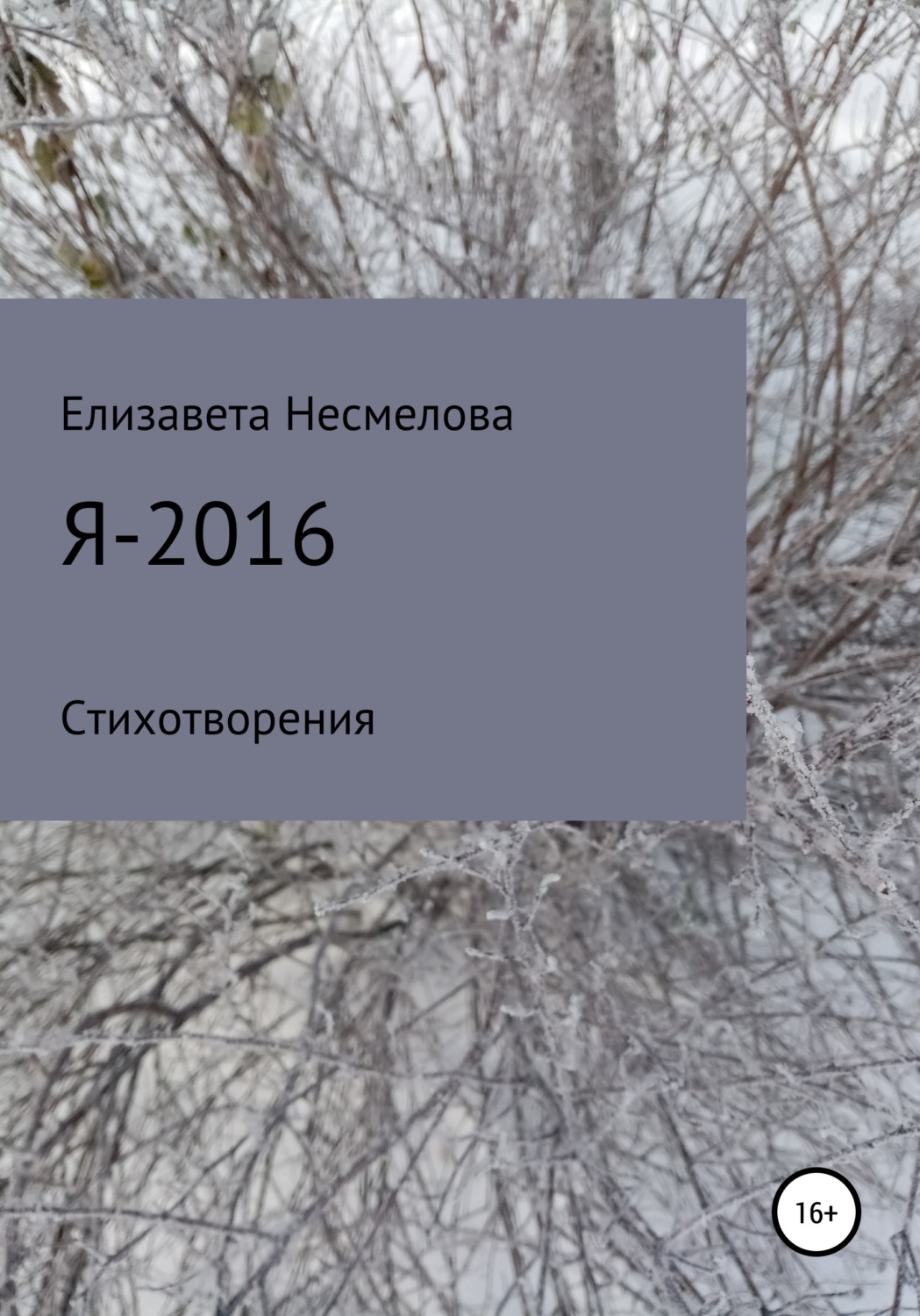 Обложка книги «Я – 2016»