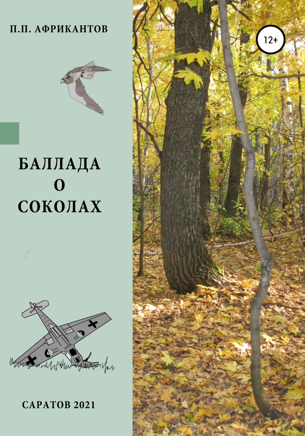 Обложка книги «Баллада о соколах»