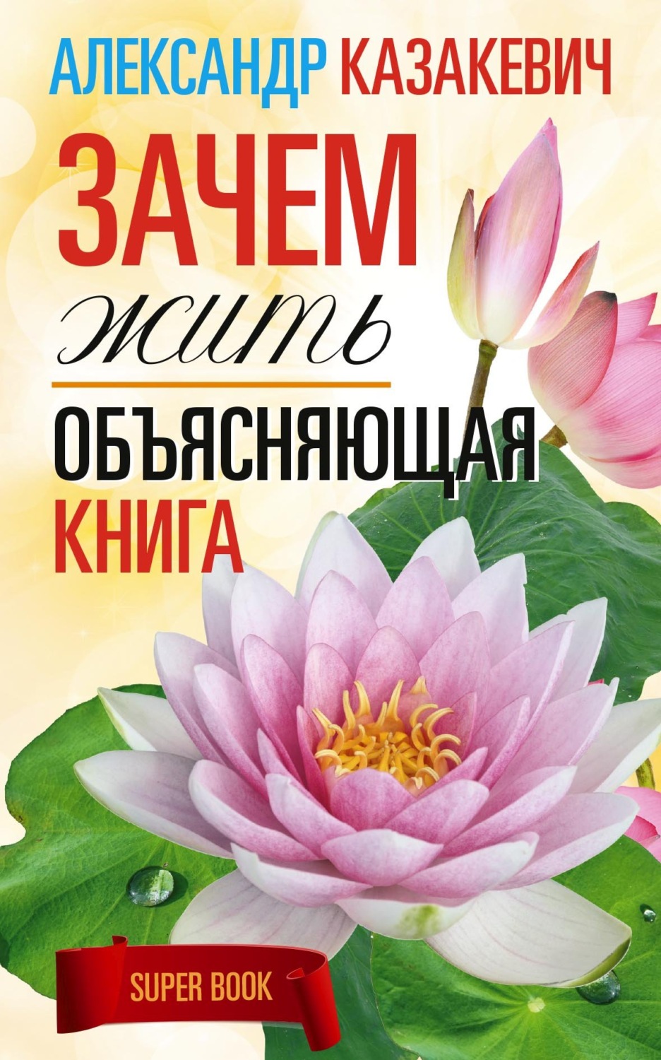 Обложка книги «Зачем жить. Объясняющая книга»