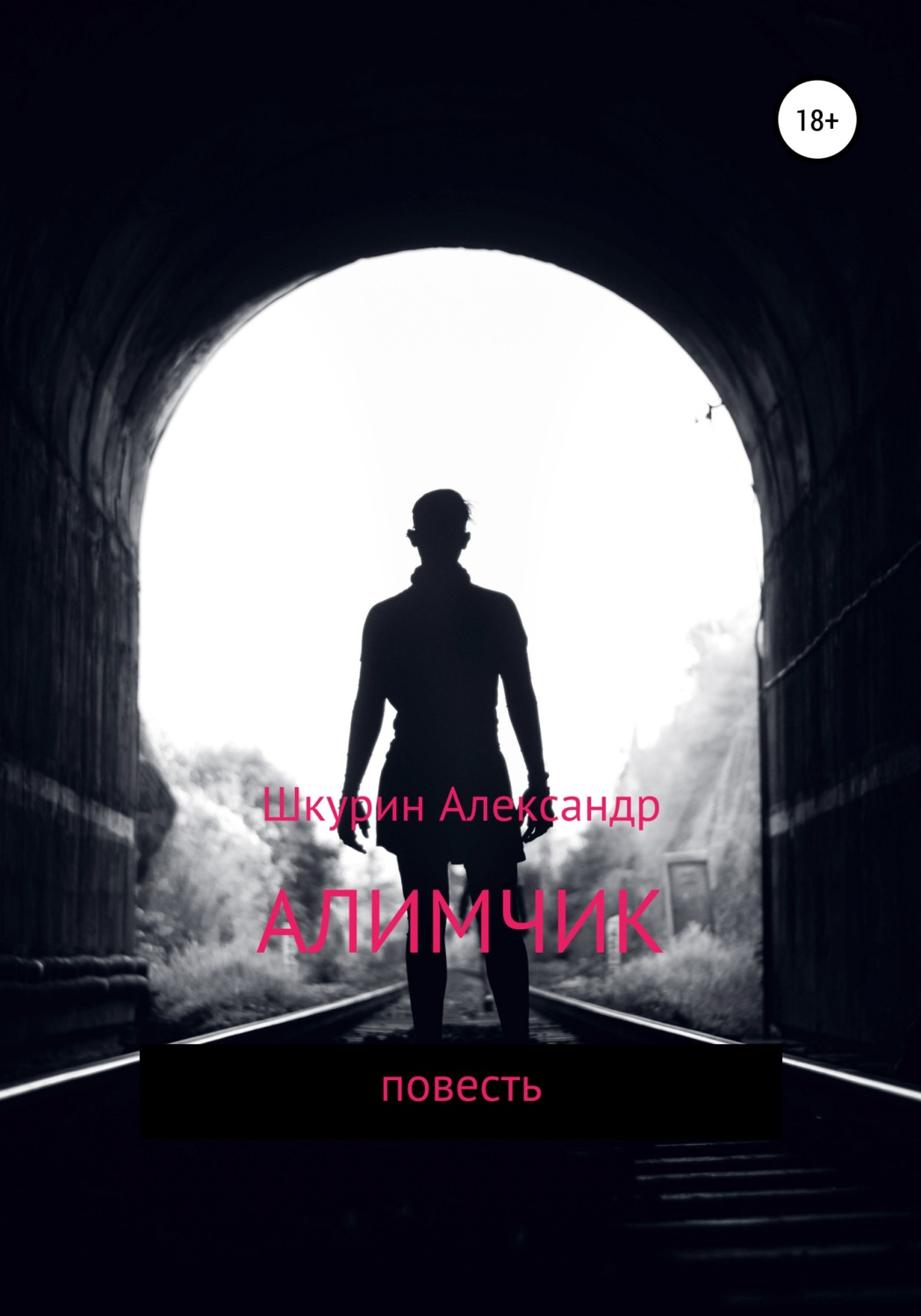Обложка книги «Алимчик»