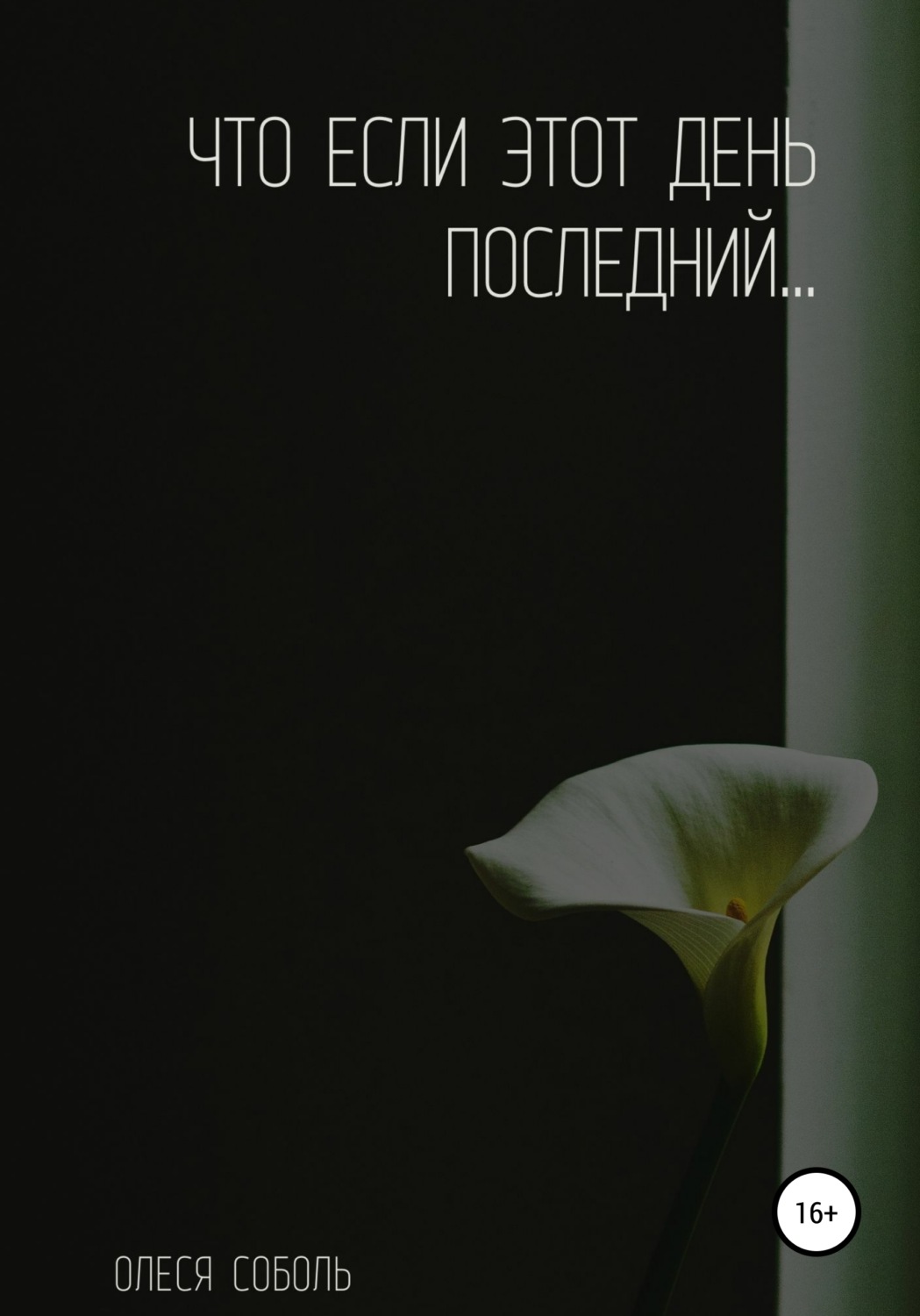Обложка книги «Что если этот день последний…»
