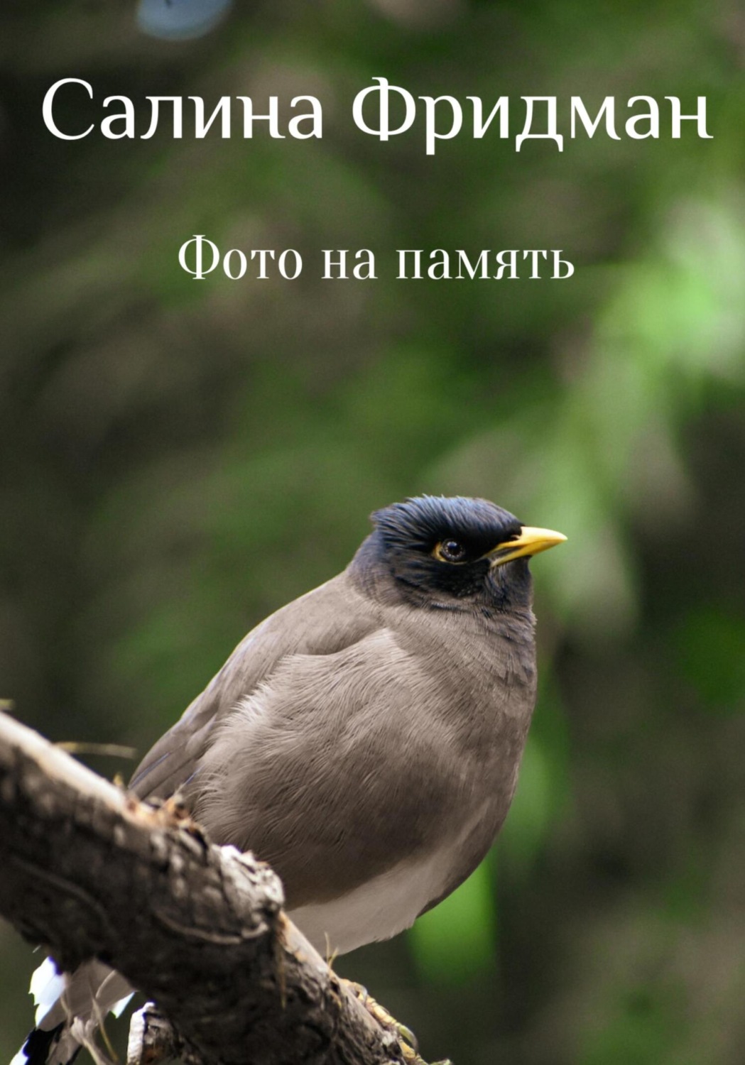 Обложка книги «Фото на память»