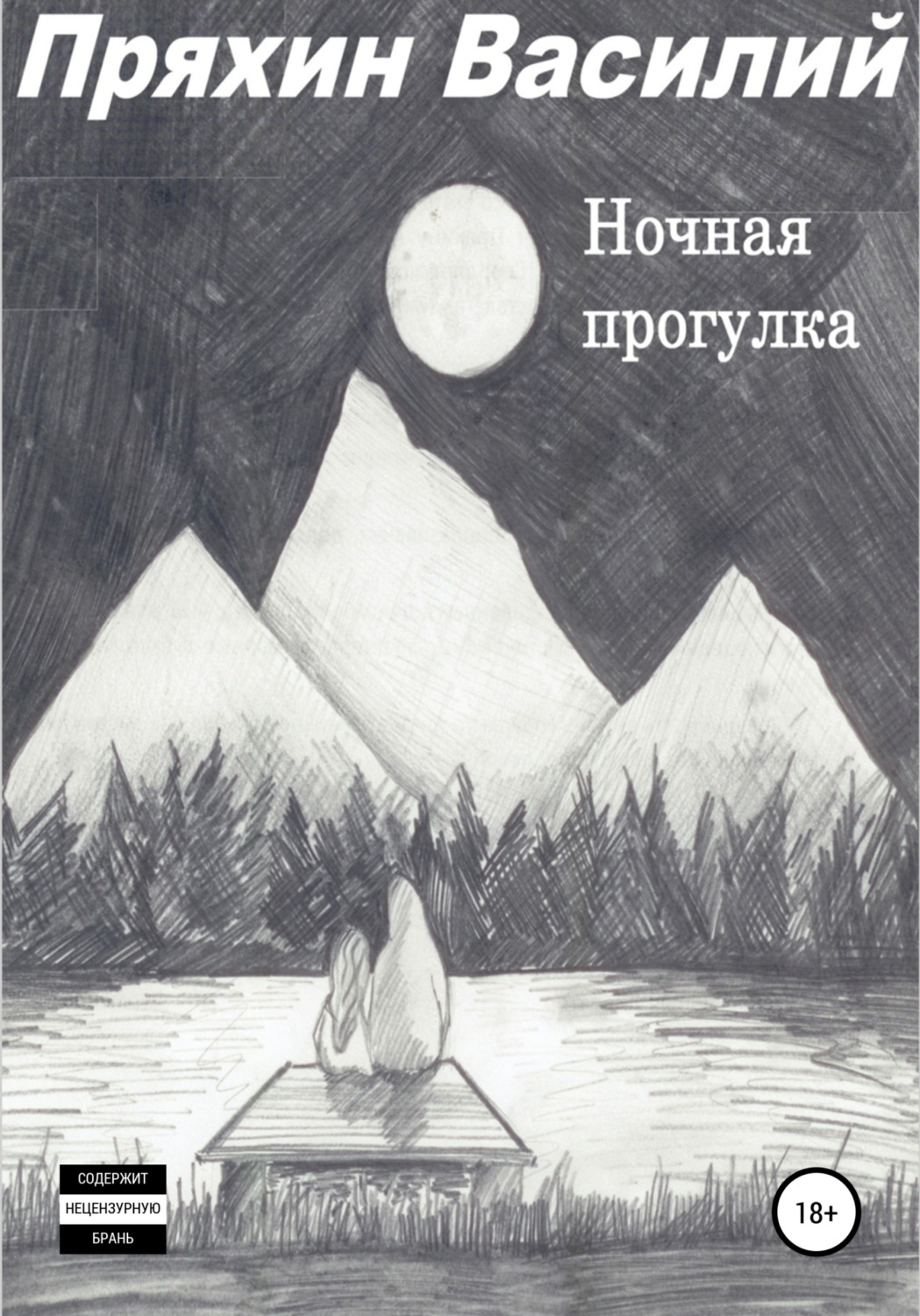 Обложка книги «Ночная прогулка»