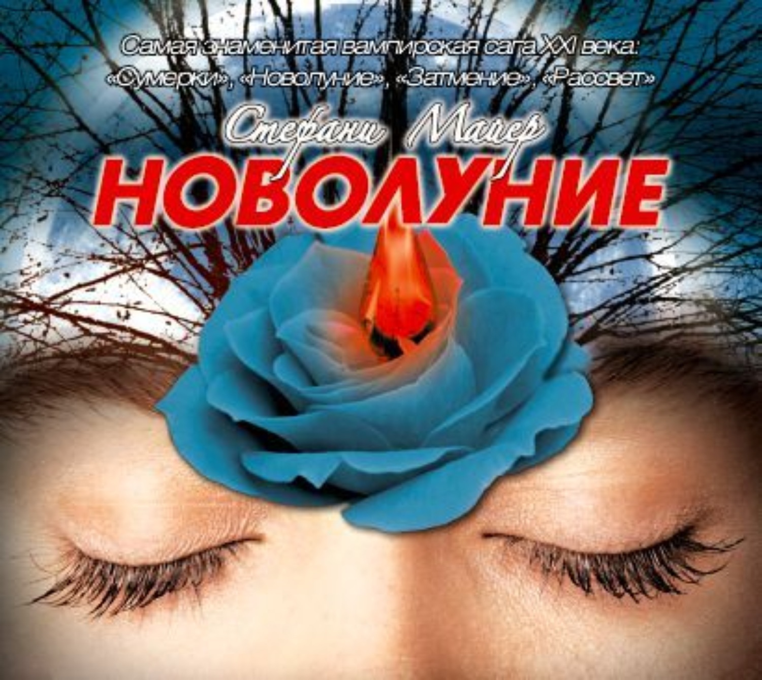Обложка книги «Новолуние»