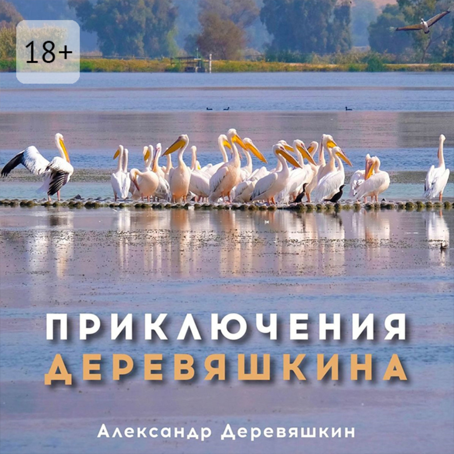 Обложка книги «Приключения Деревяшкина»