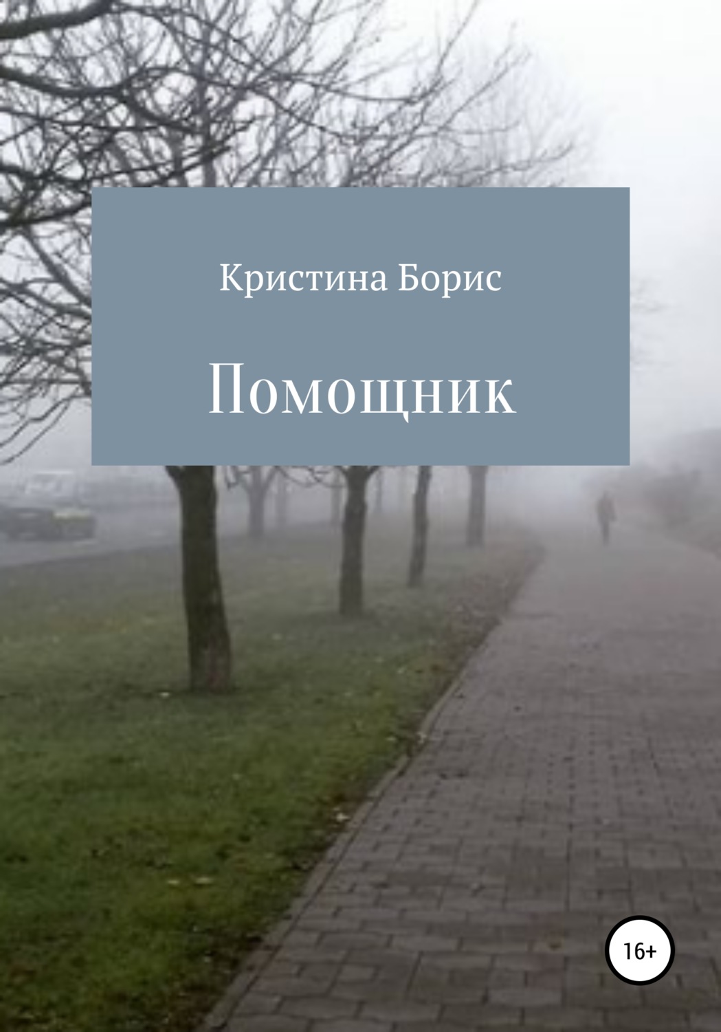 Обложка книги «Помощник»