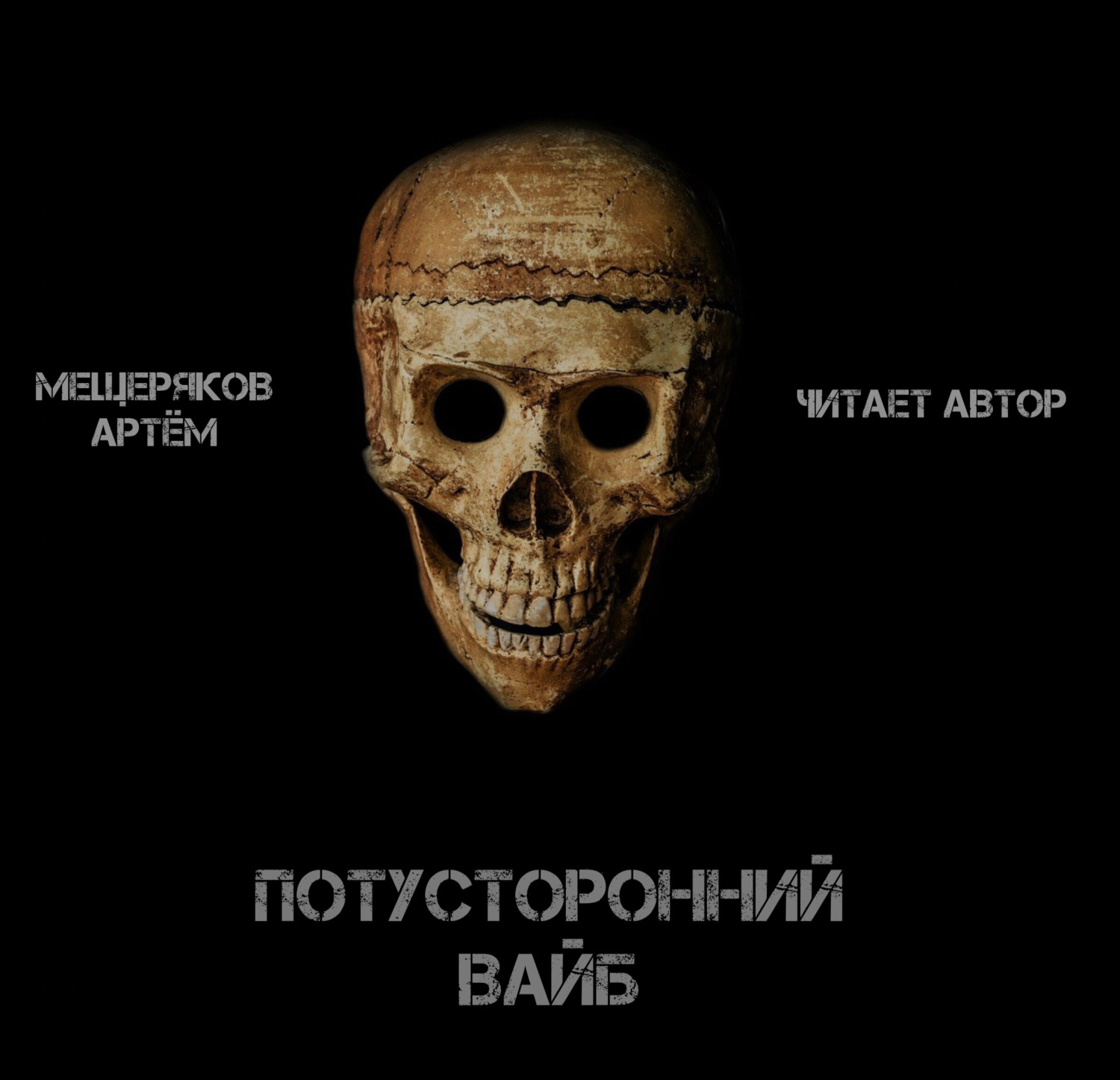 Обложка книги «Потусторонний вайб»