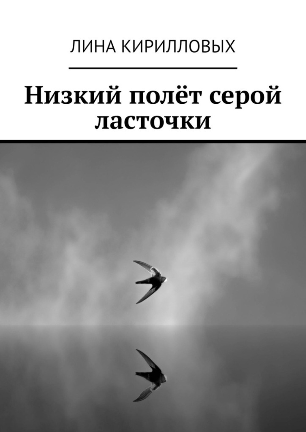 Обложка книги «Низкий полёт серой ласточки»