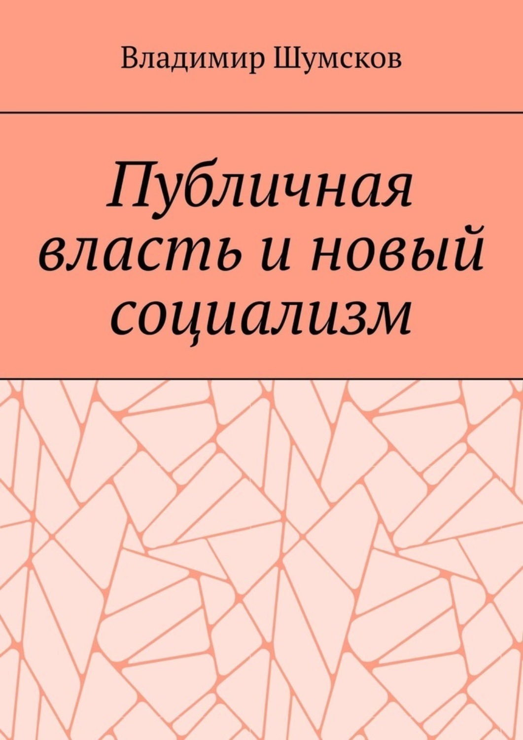 Обложка книги «Публичная власть и новый социализм»