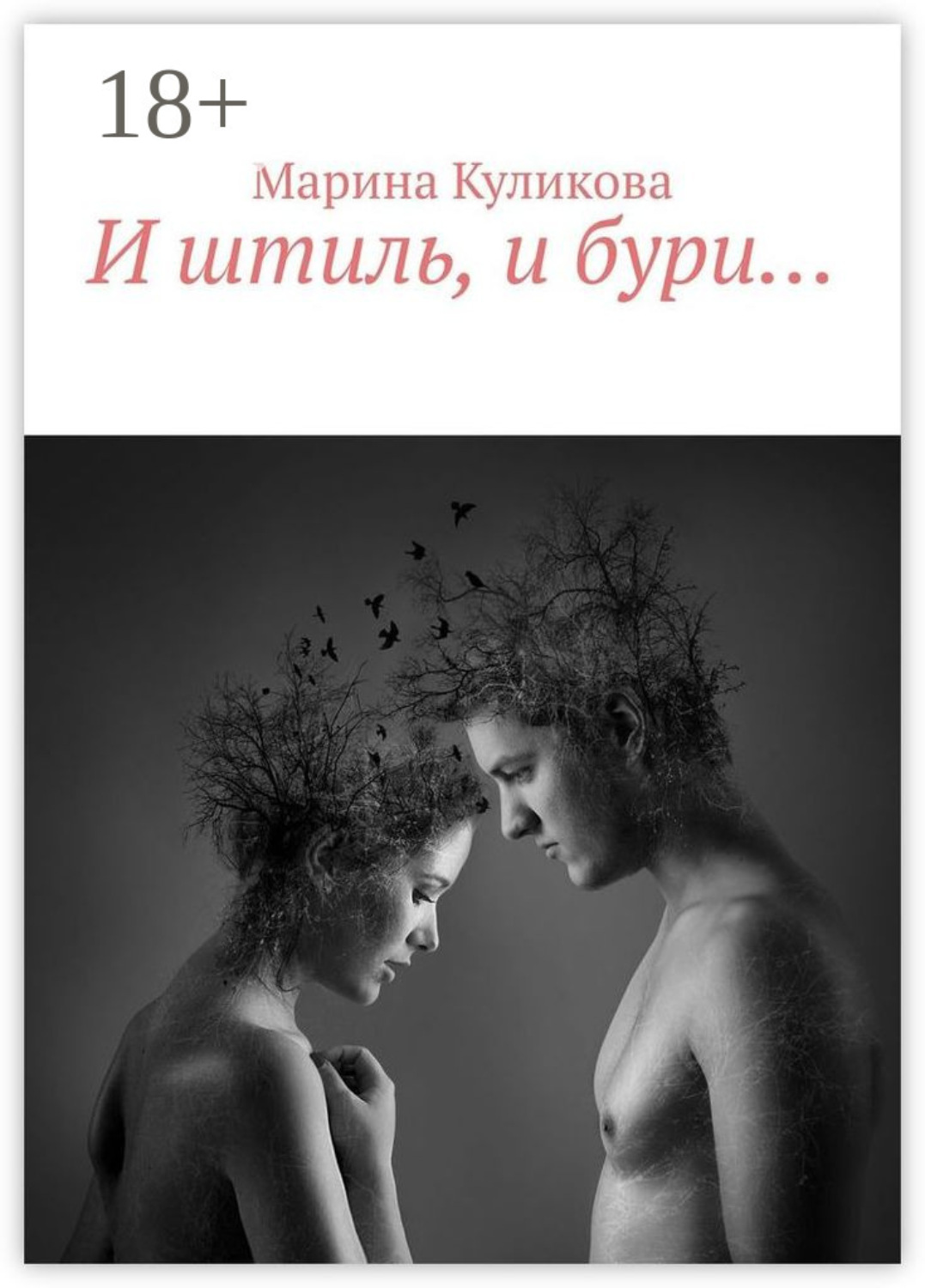 Обложка книги «И штиль, и бури…»