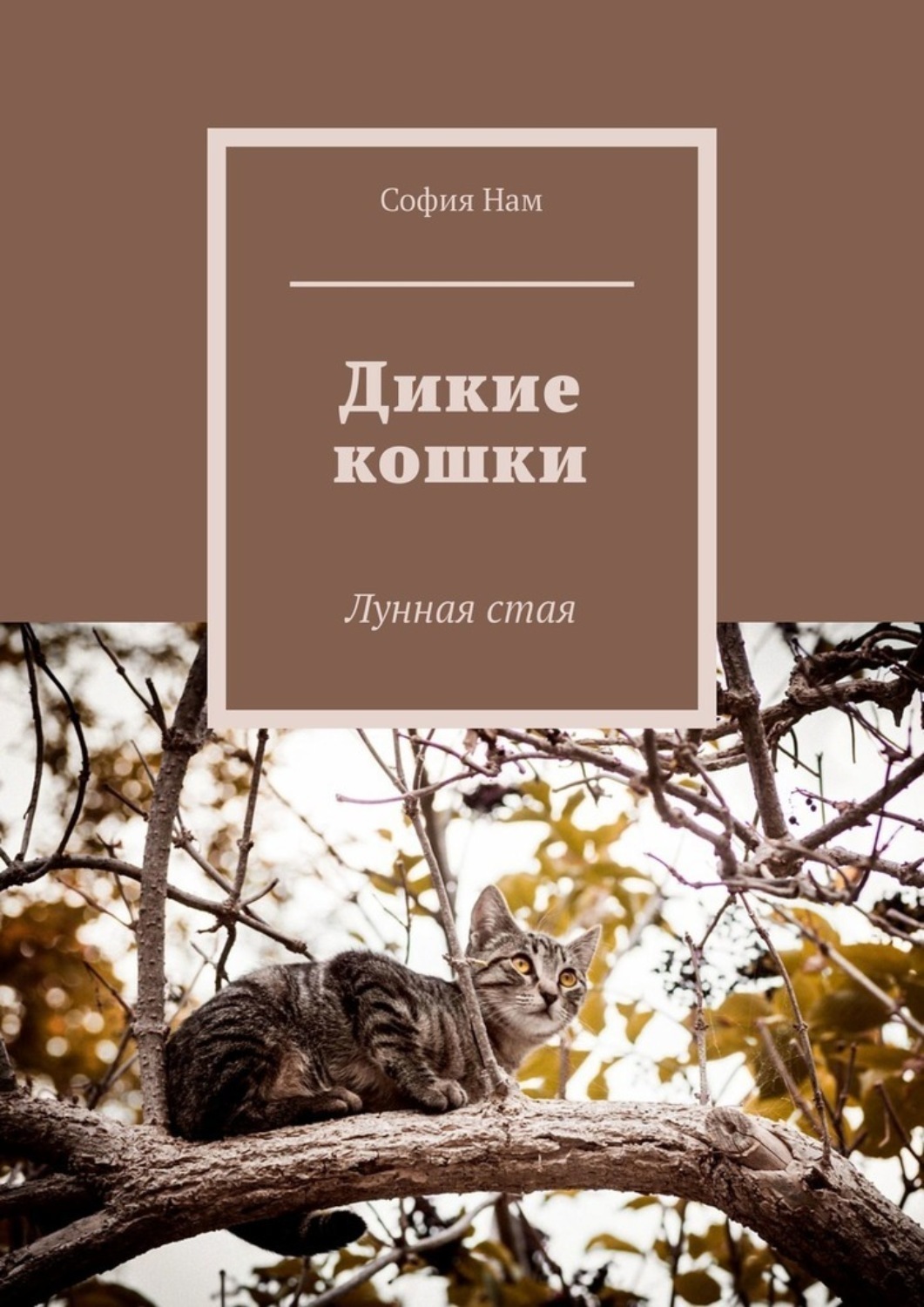 Обложка книги «Дикие кошки. Лунная стая»