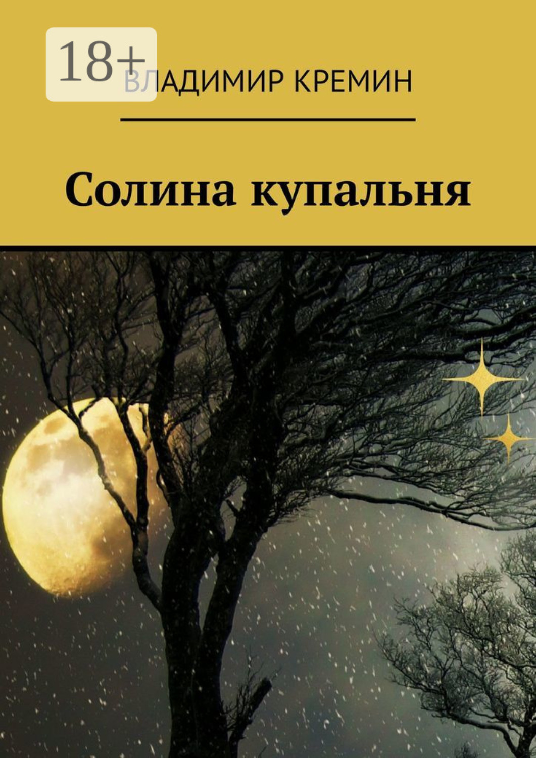Обложка книги «Солина купальня»