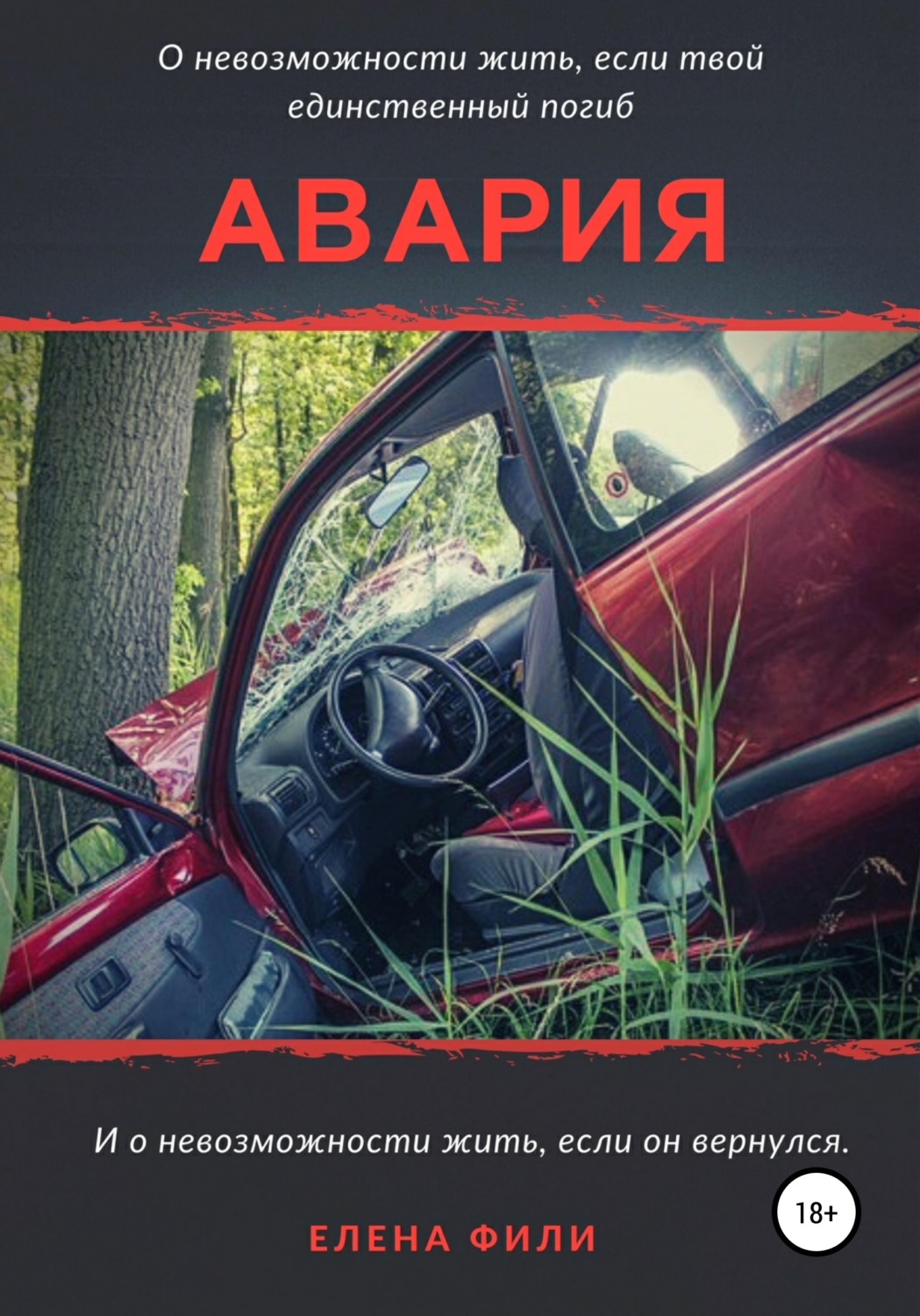 Обложка книги «Авария»