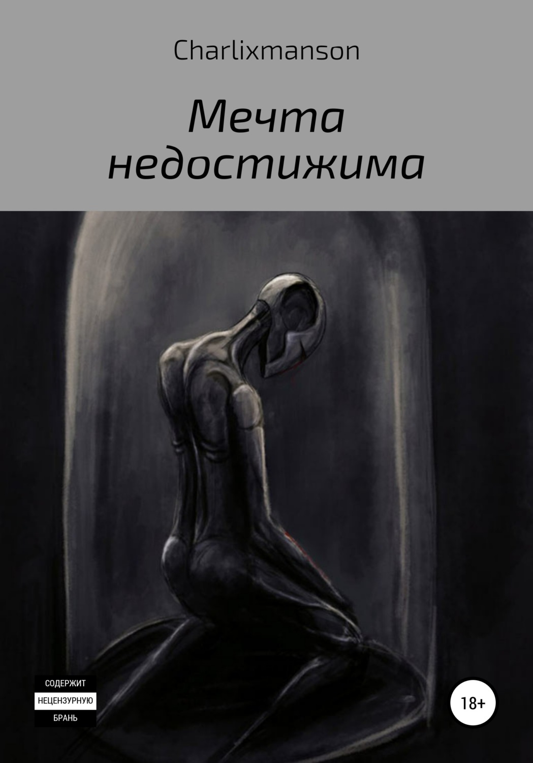 Обложка книги «Мечта недостижима»