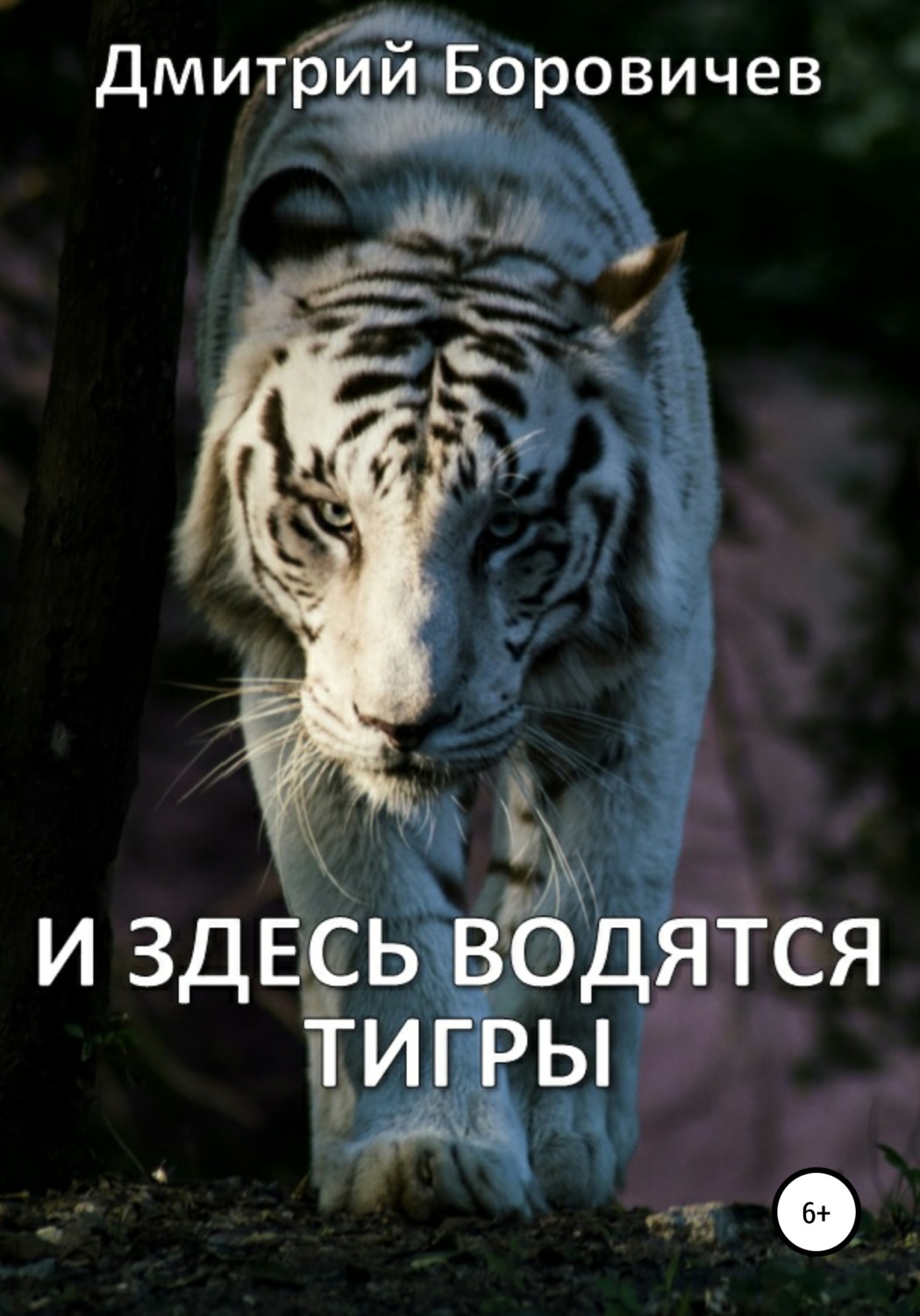 Обложка книги «И здесь водятся тигры»