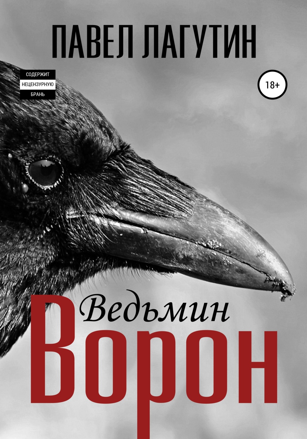 Обложка книги «Ведьмин ворон»