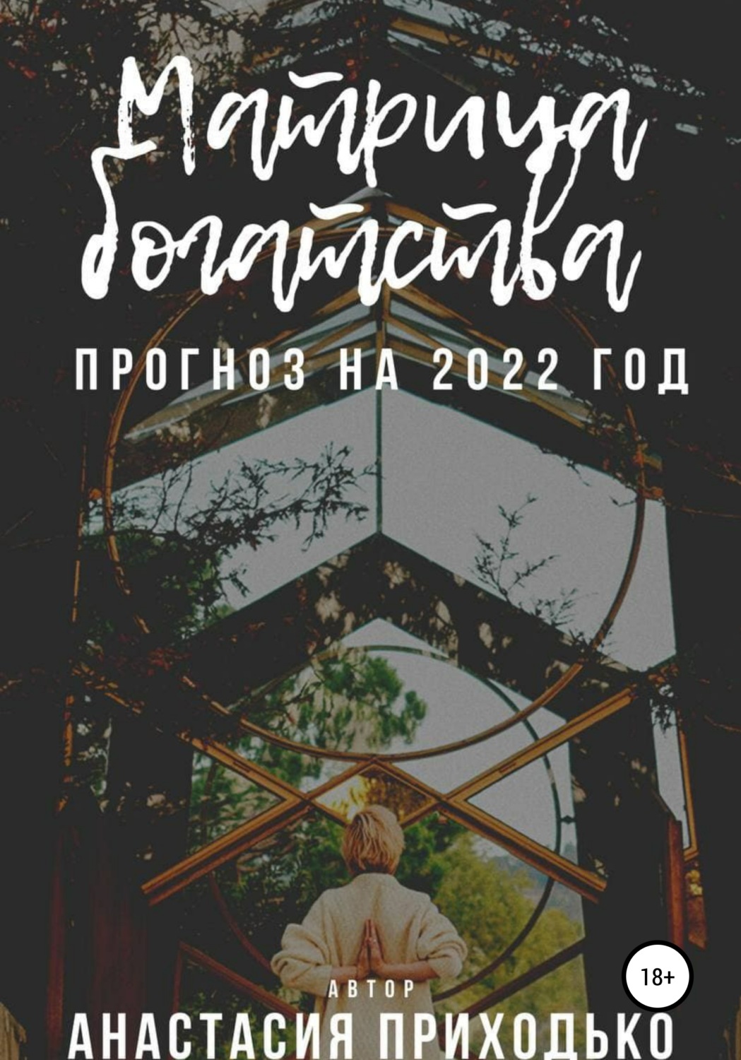 Обложка книги «Матрица богатства. Прогноз на 2022 год»