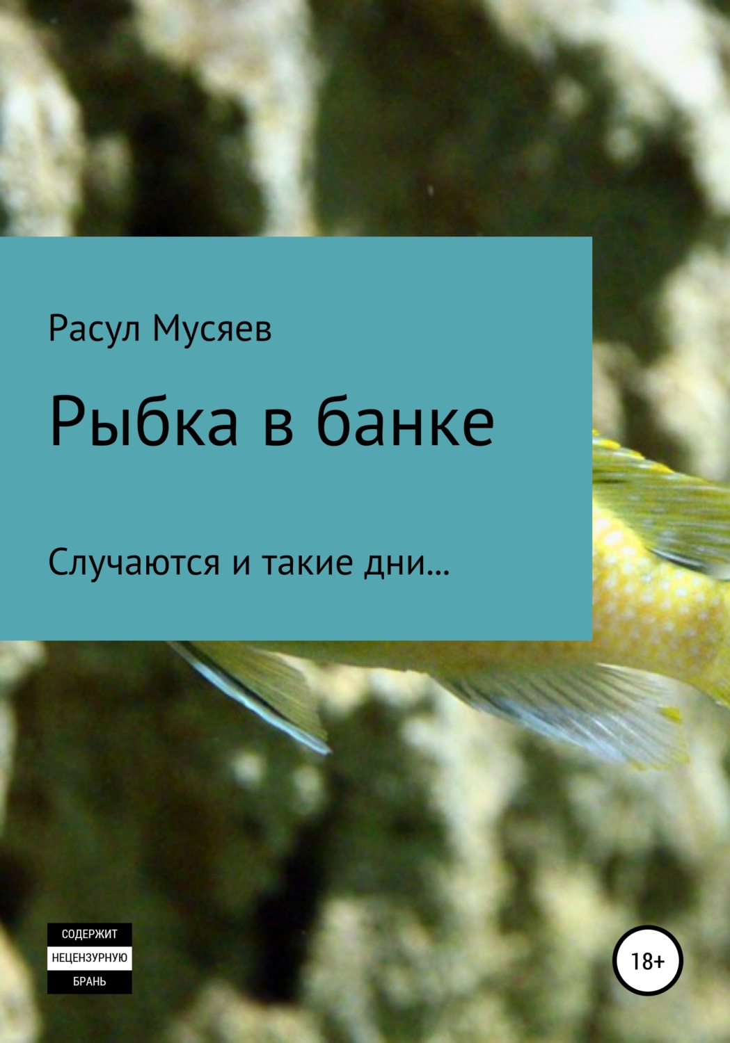 Обложка книги «Рыбка в банке»