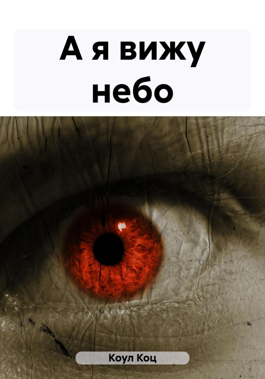 Обложка книги «А я вижу небо»