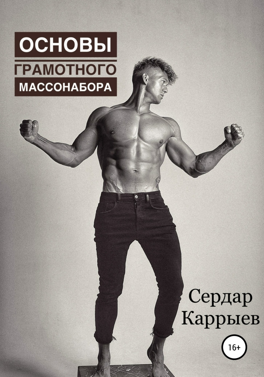 Обложка книги «Основы грамотного массонабора»