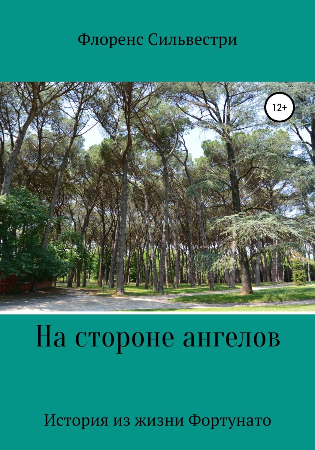 Обложка книги «На стороне ангелов»