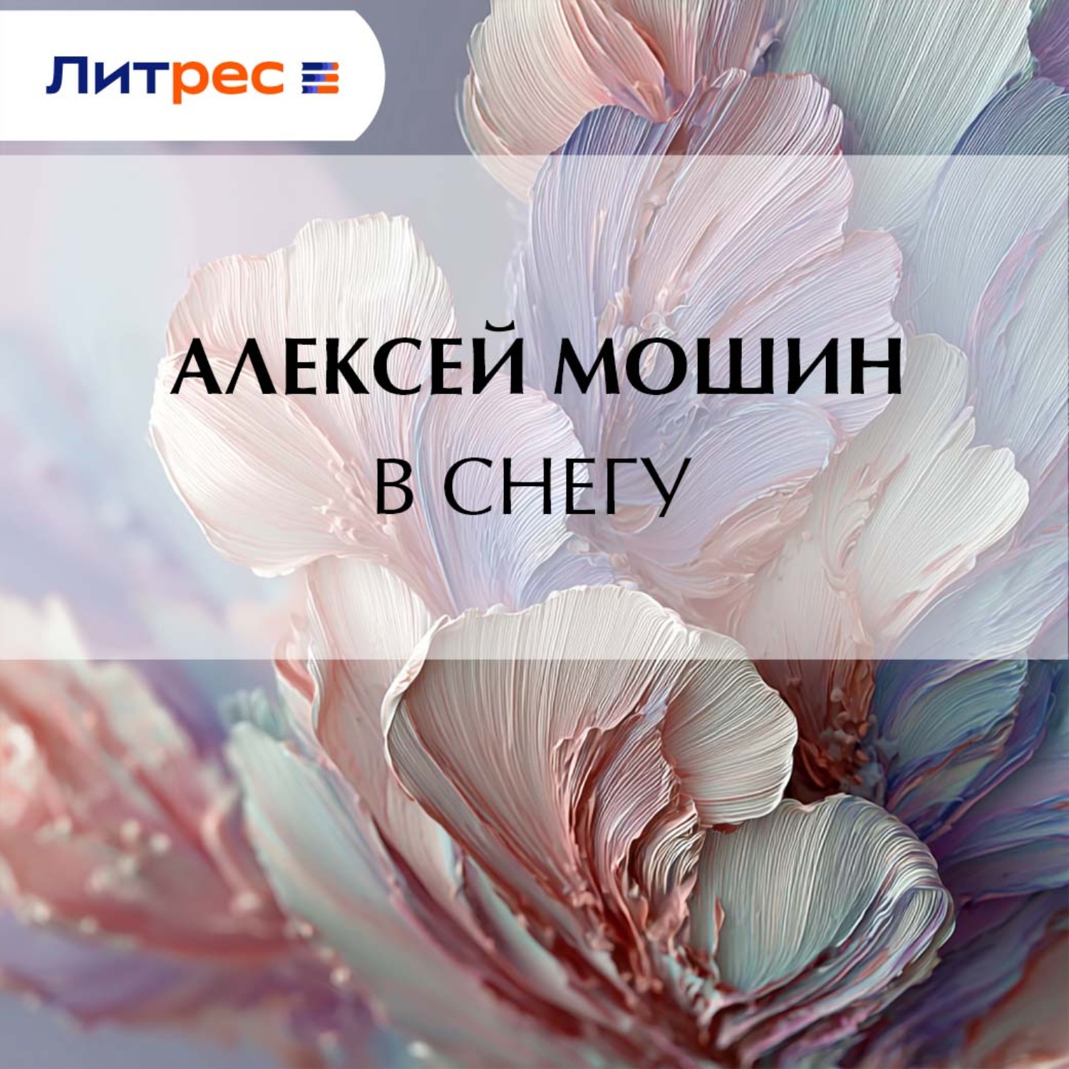 Обложка книги «В снегу»