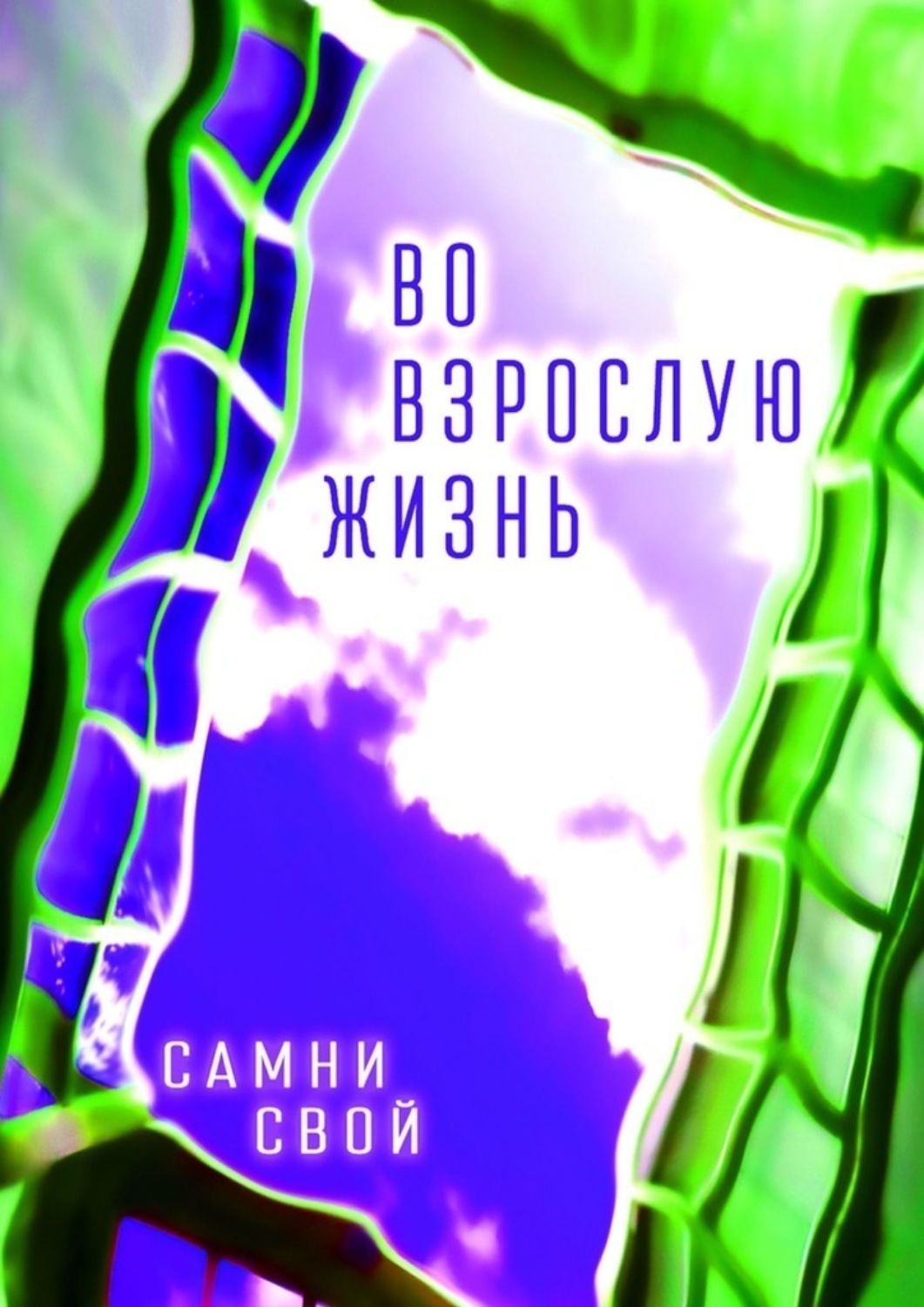 Обложка книги «Во взрослую жизнь»
