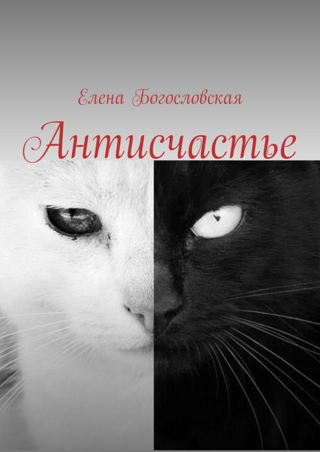 Обложка книги «Антисчастье»