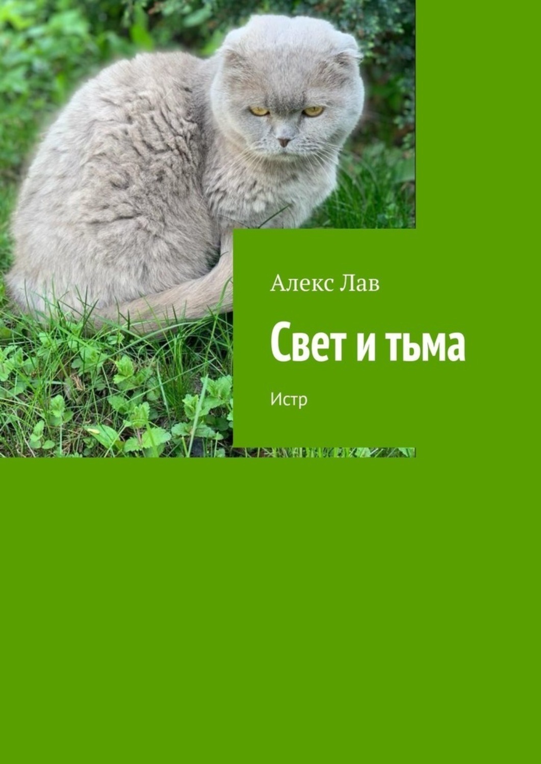 Обложка книги «Свет и тьма. Истр»