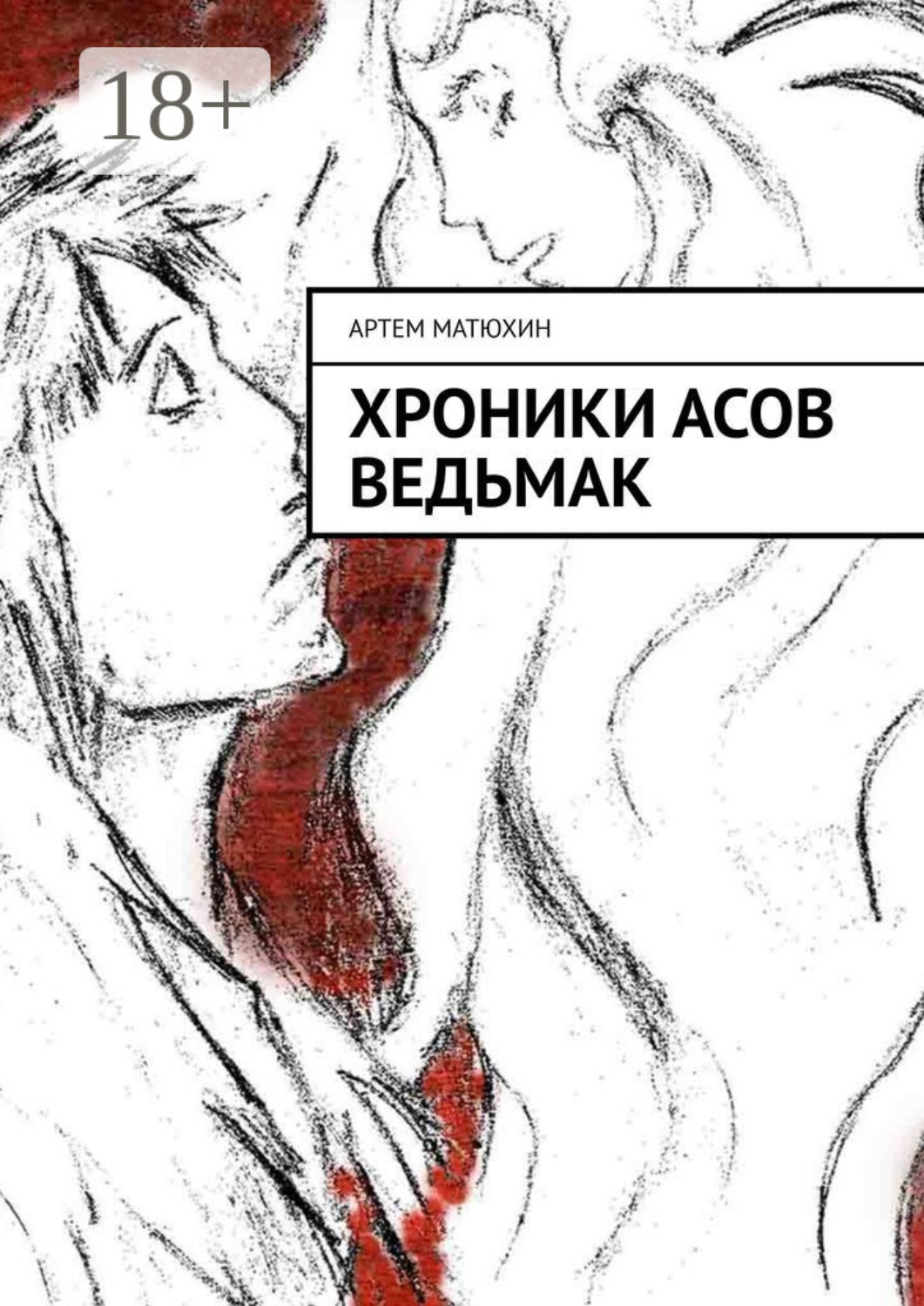 Обложка книги «Хроники Асов. Ведьмак»