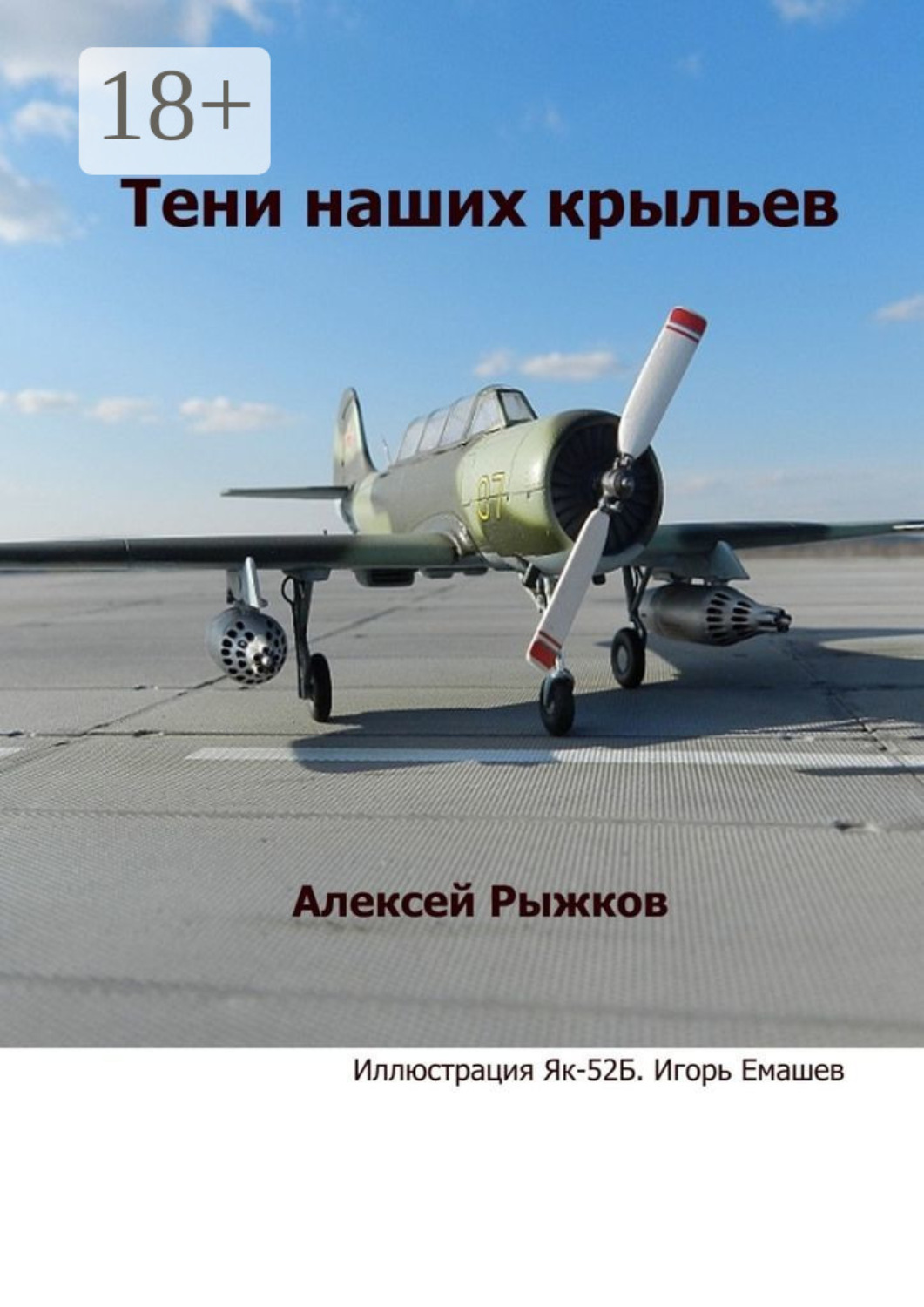 Обложка книги «Тени наших крыльев»