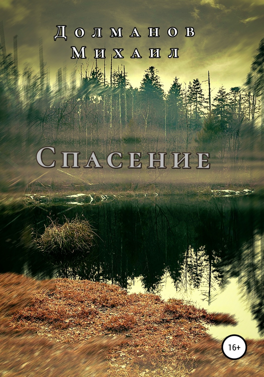 Обложка книги «Спасение»